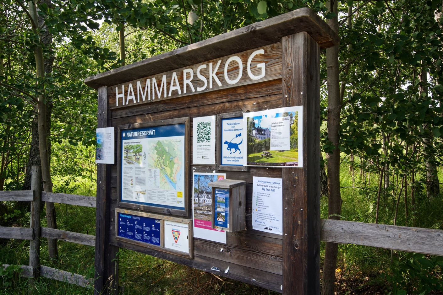Områdesbild