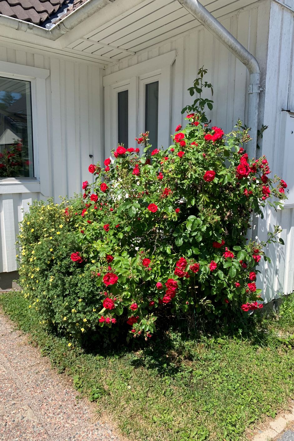 Säljarens egna bilder