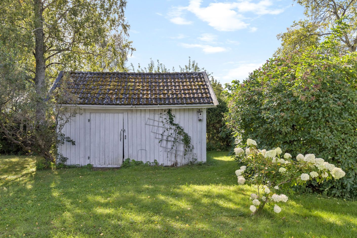 Trädgård