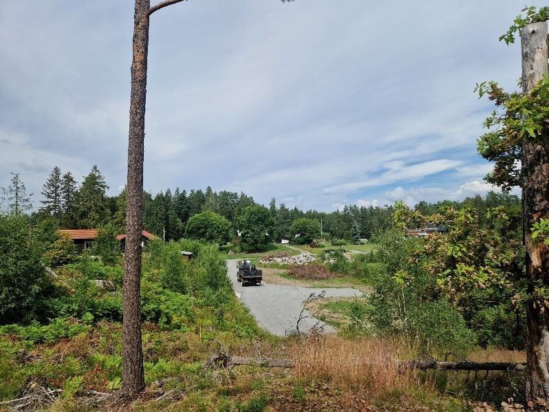 Vy från tomten
