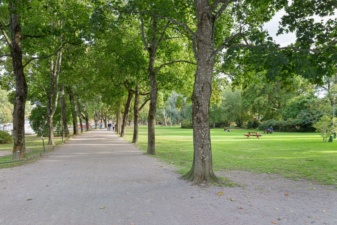 Stadsträdgården