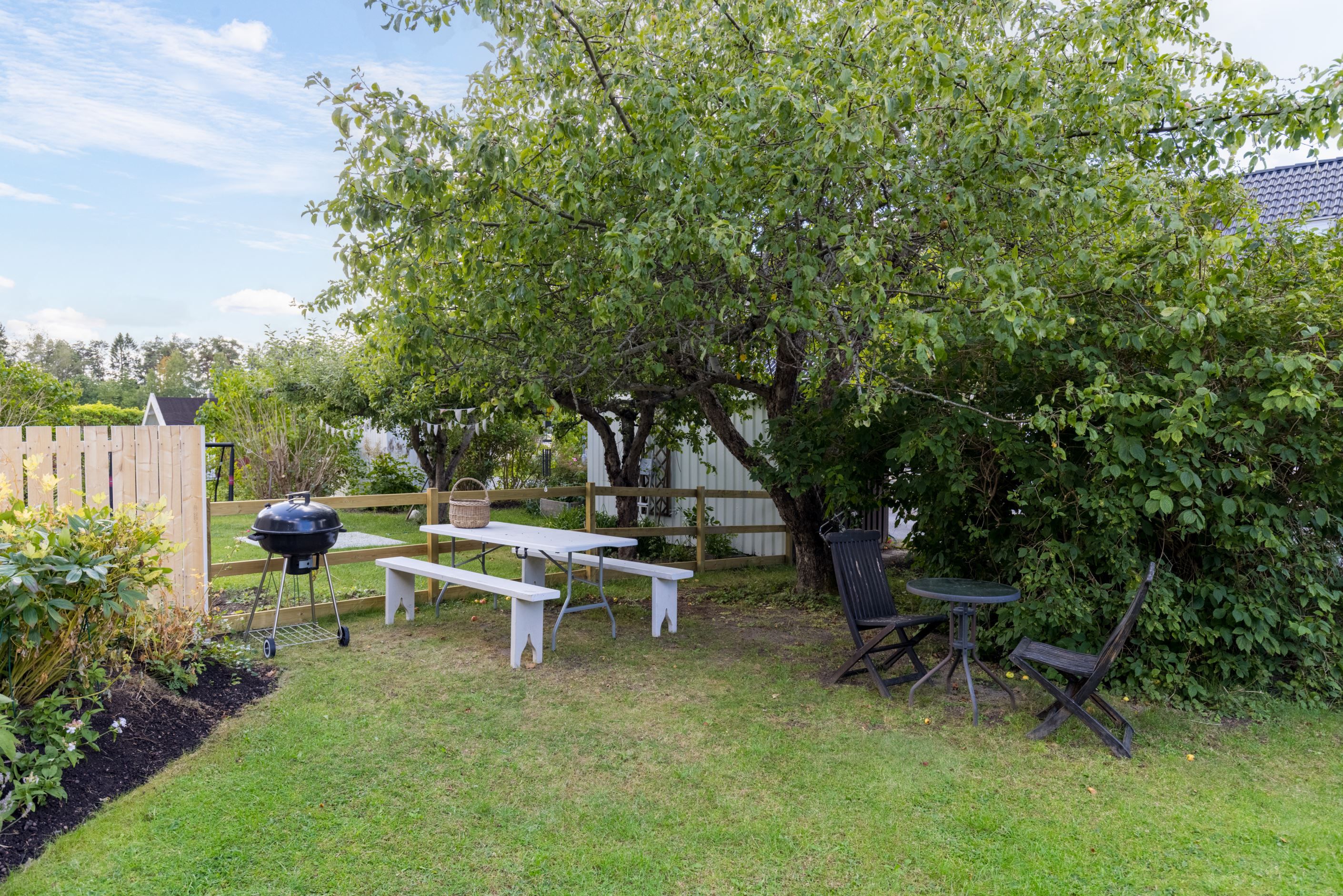 Trädgård