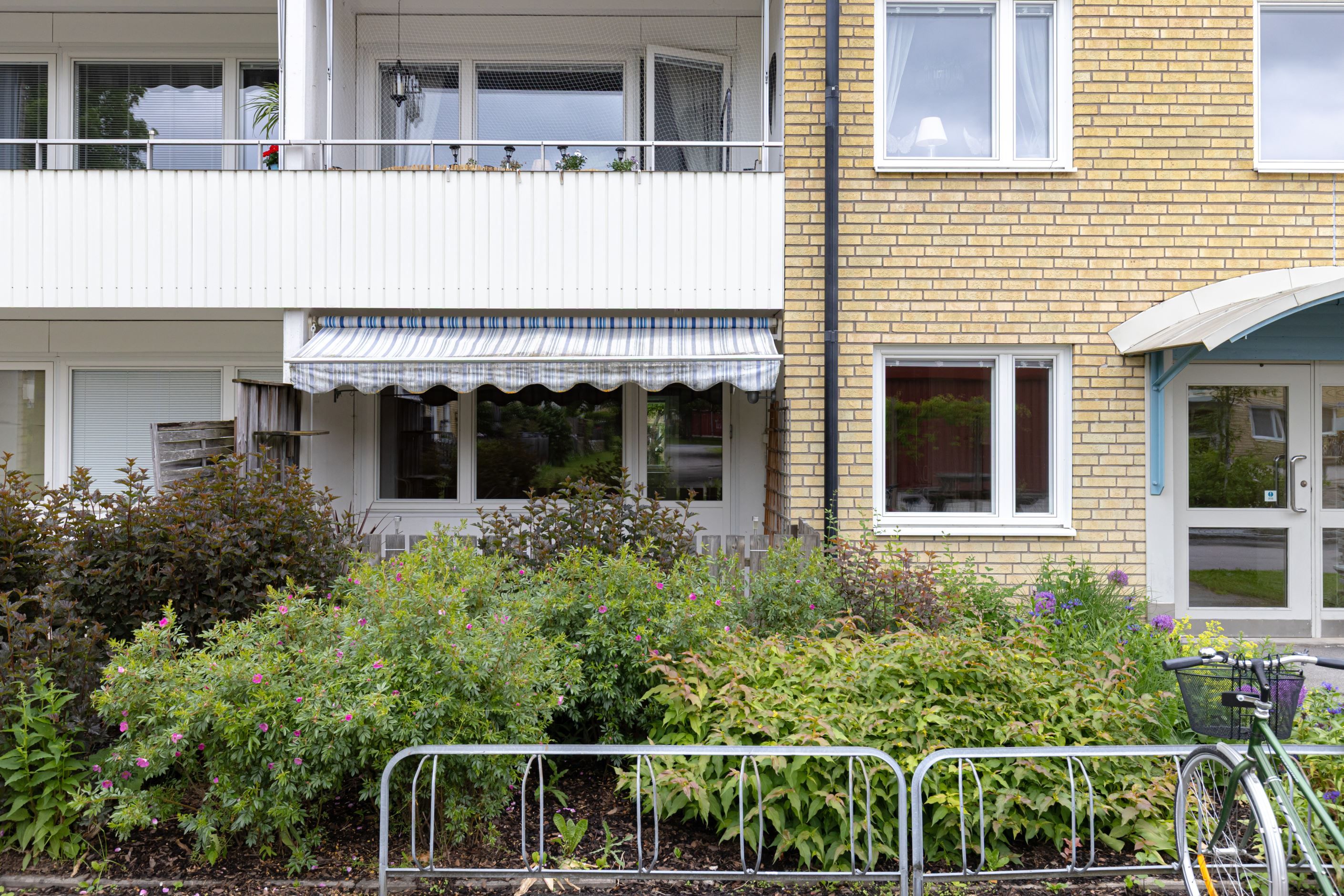 Exteriör