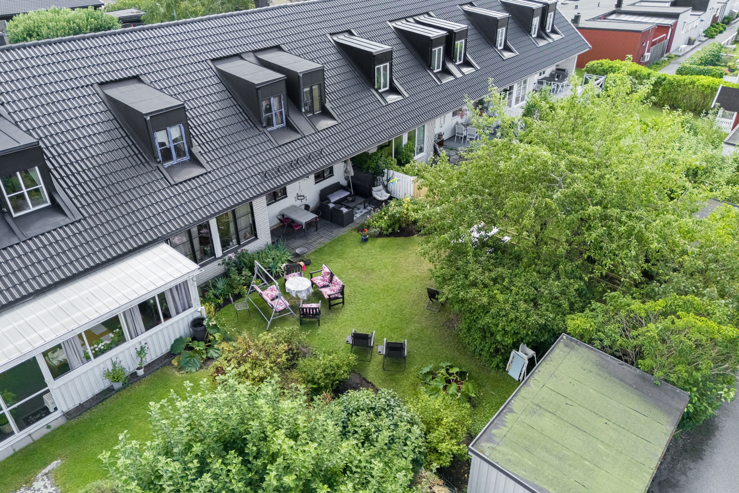Trädgård