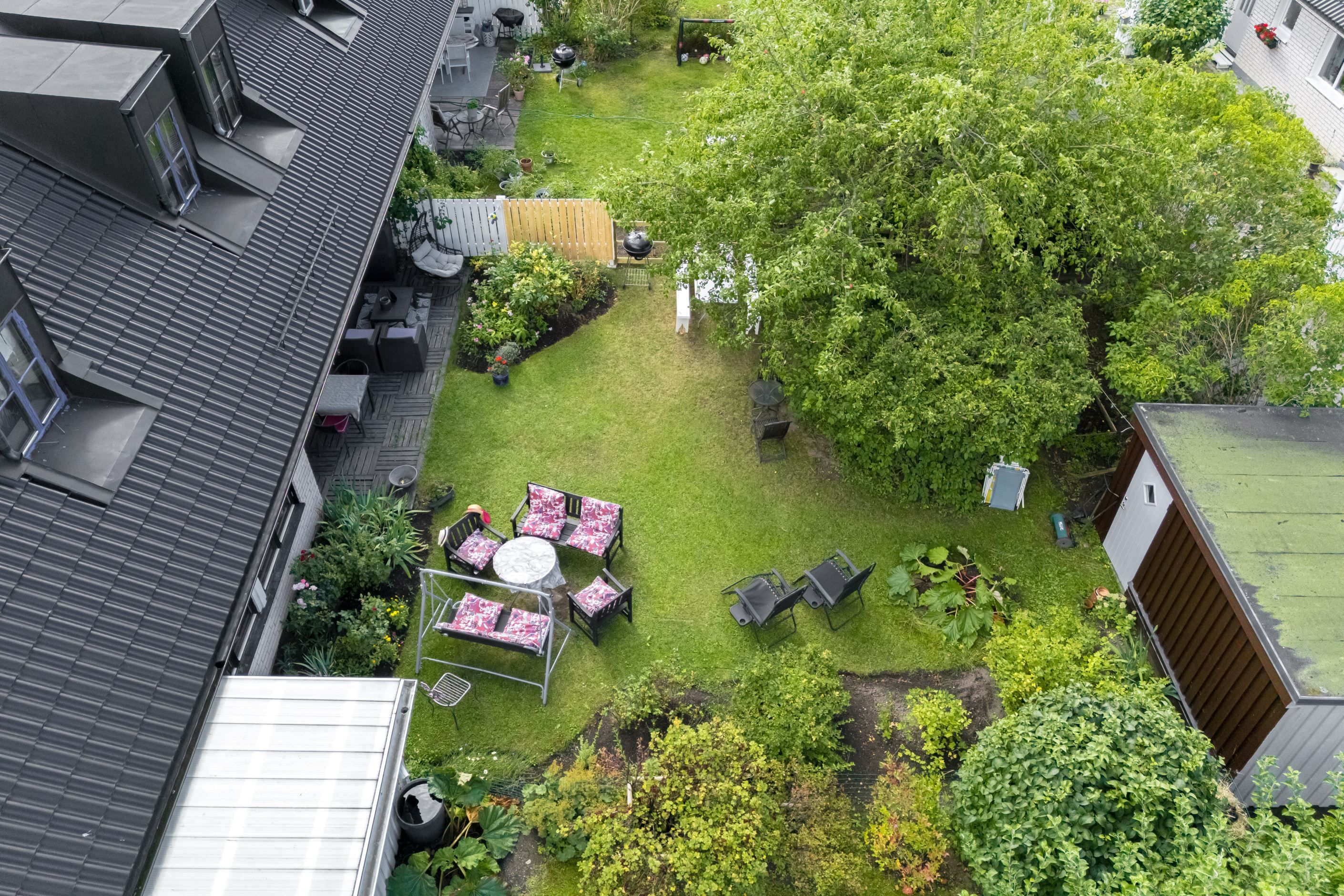 Trädgård