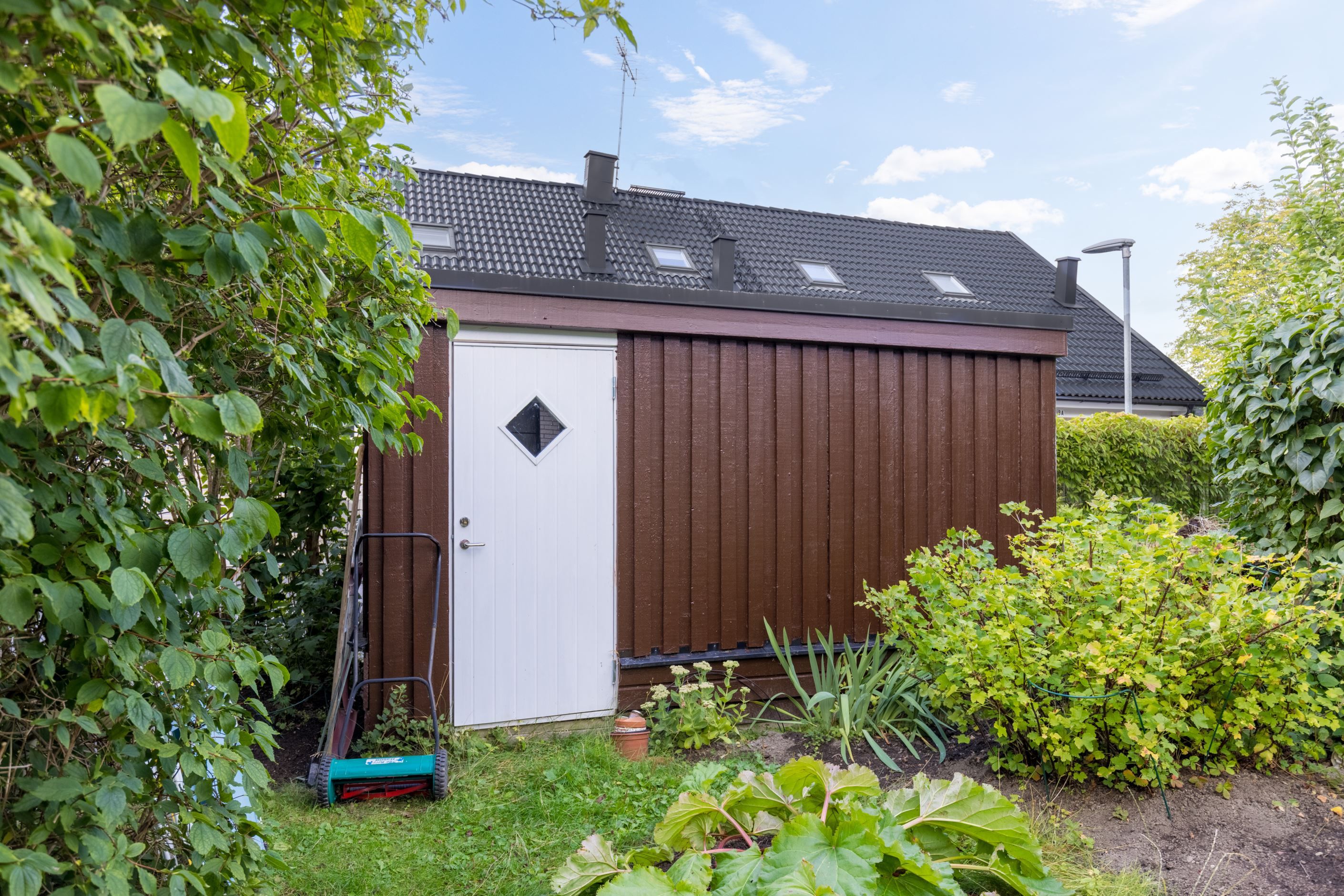 Trädgård