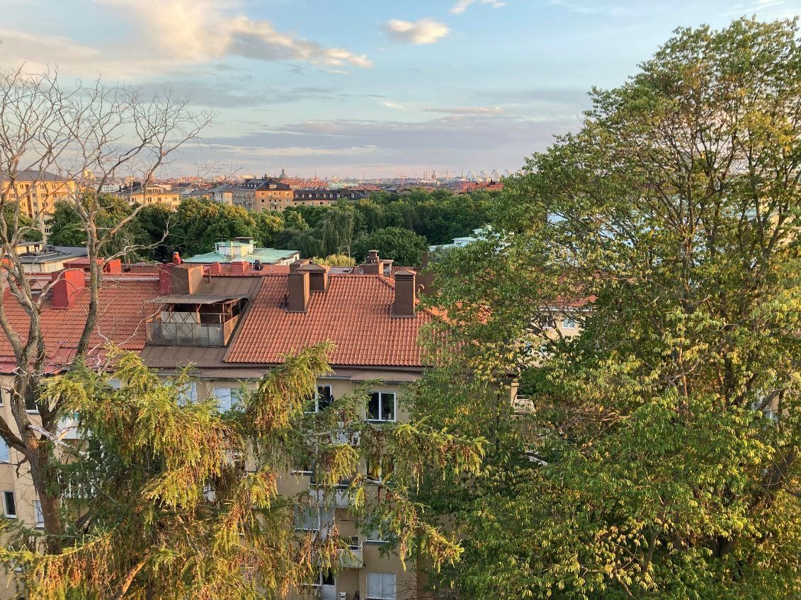 Föreningens gemensamma takterrass