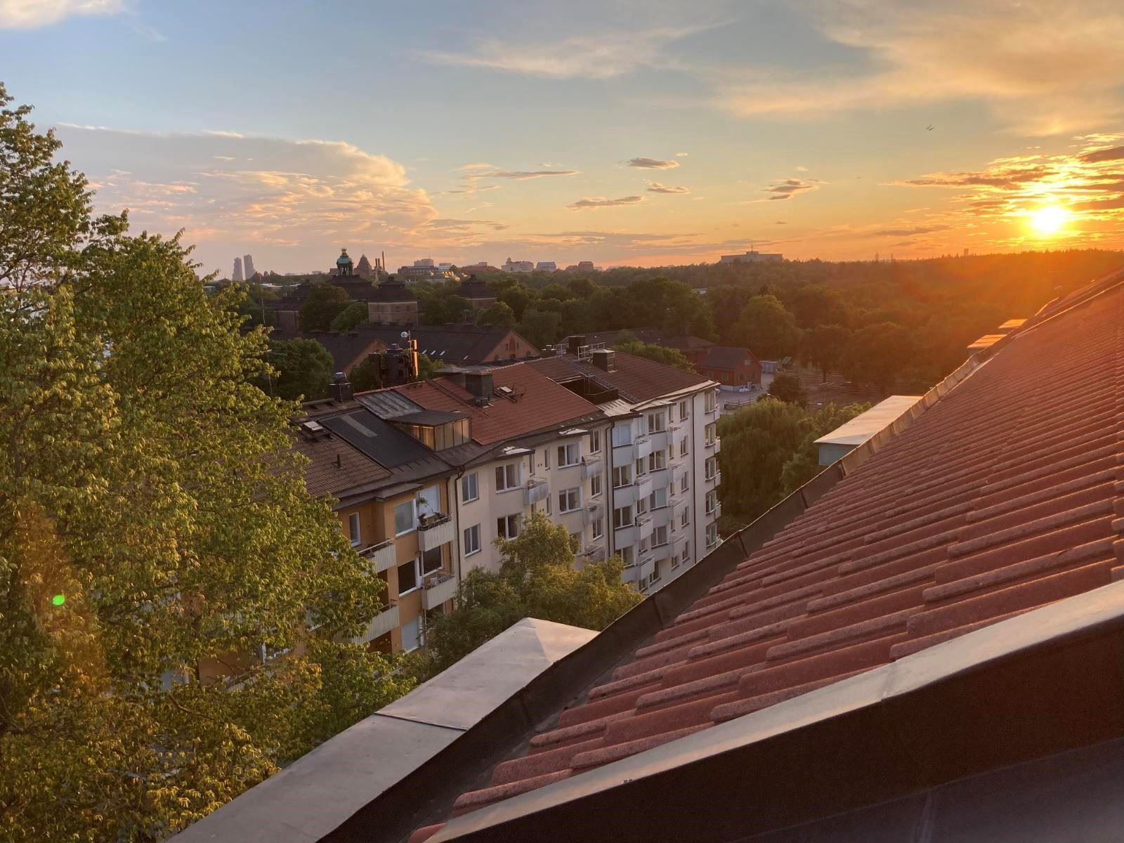 Föreningens gemensamma takterrass