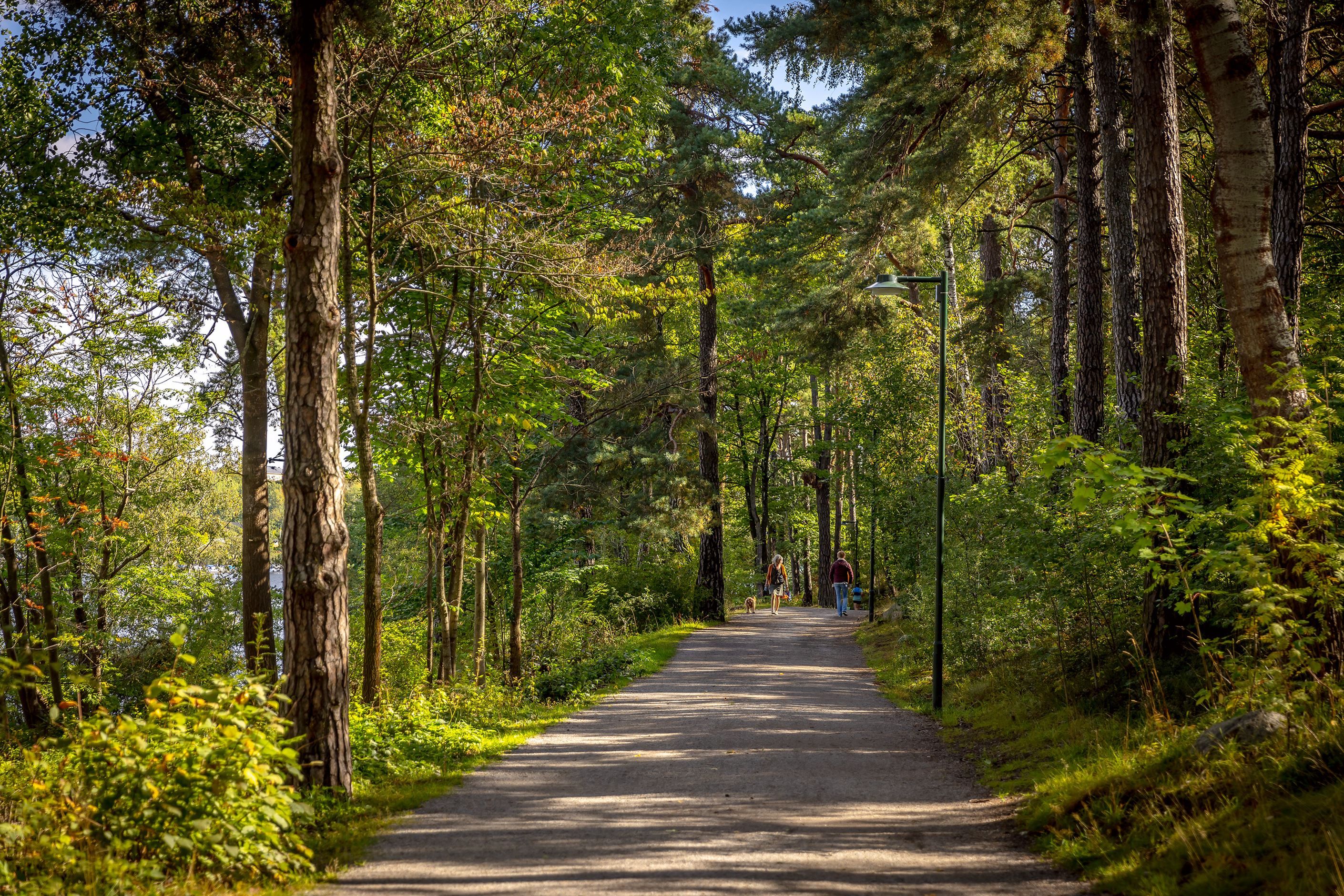 Promenadväg i Årstaskogen