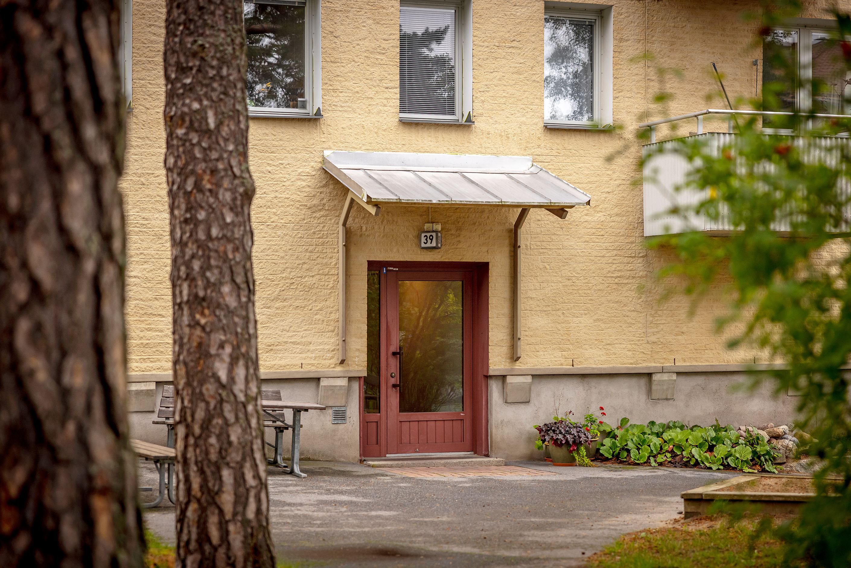 Exteriör