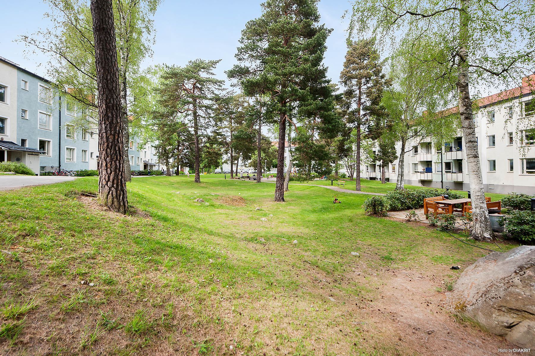 Föreningens gård