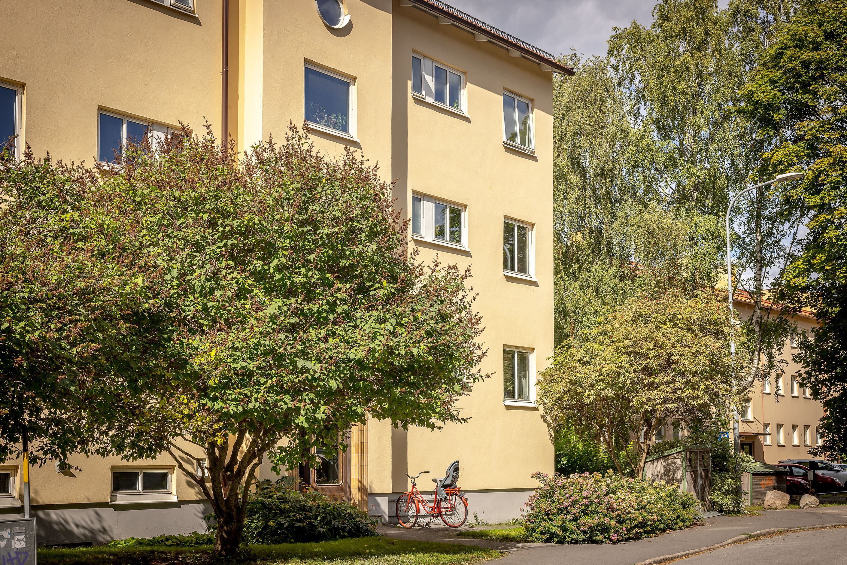 Exteriör