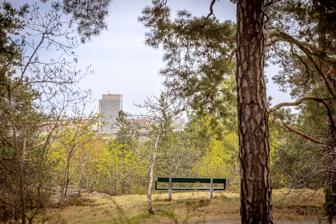 Områdesbild