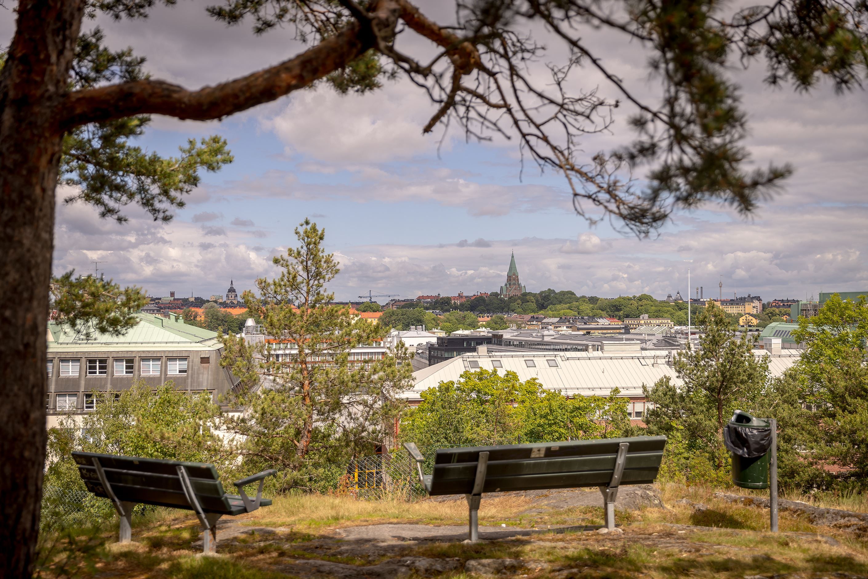 Utsikt över Årstaviken