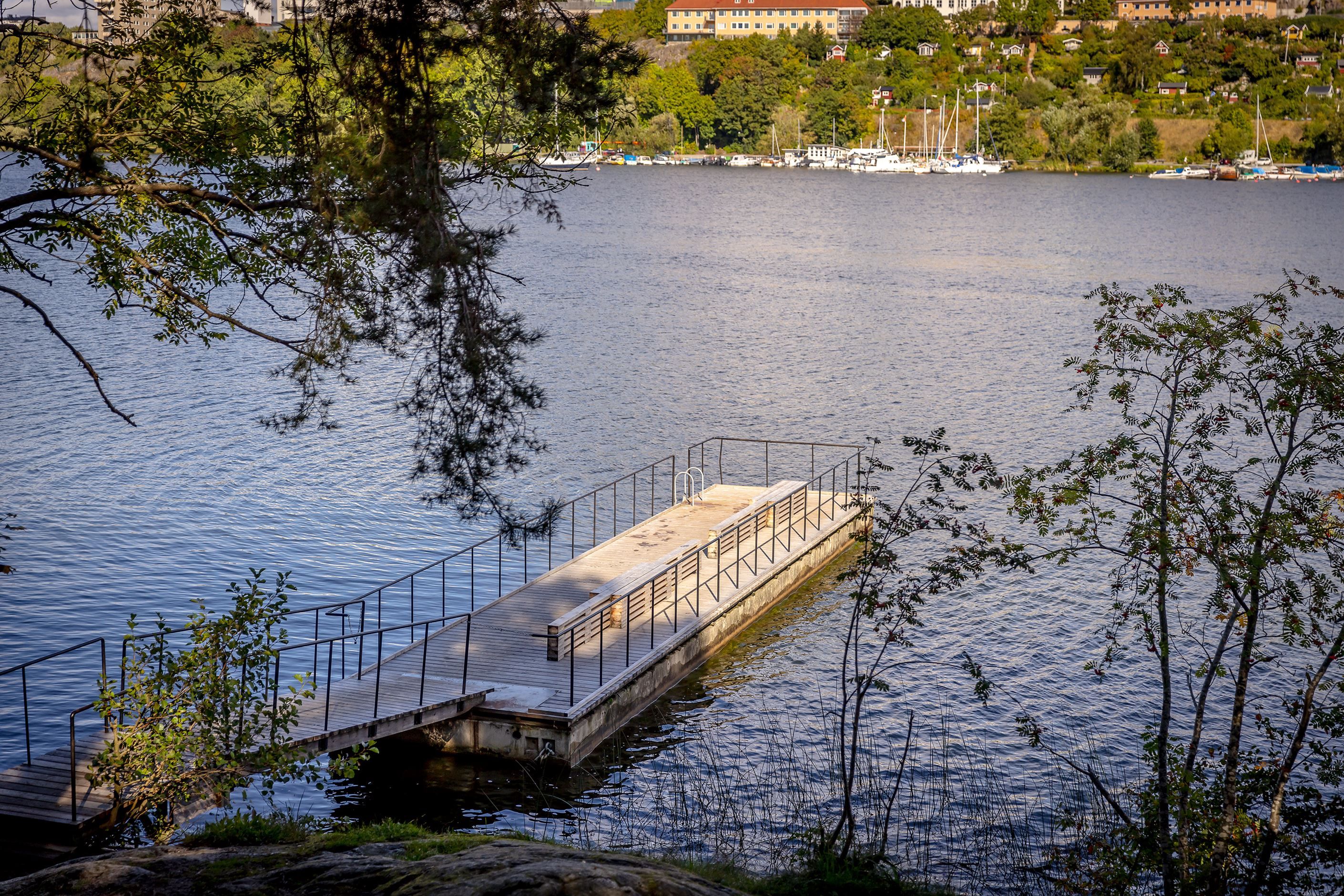 Badplats vid Årstaviken