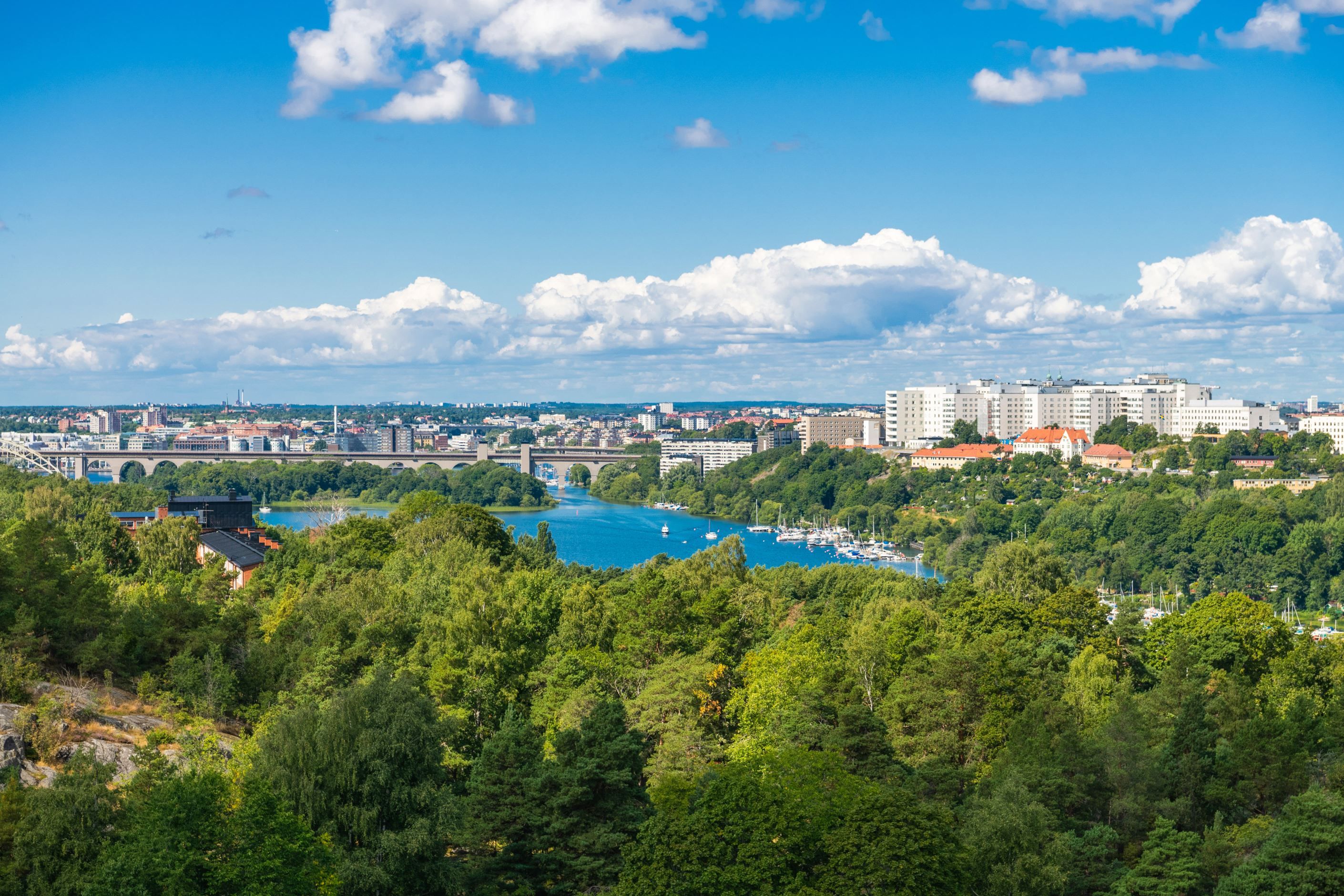 Föreningens takterrass