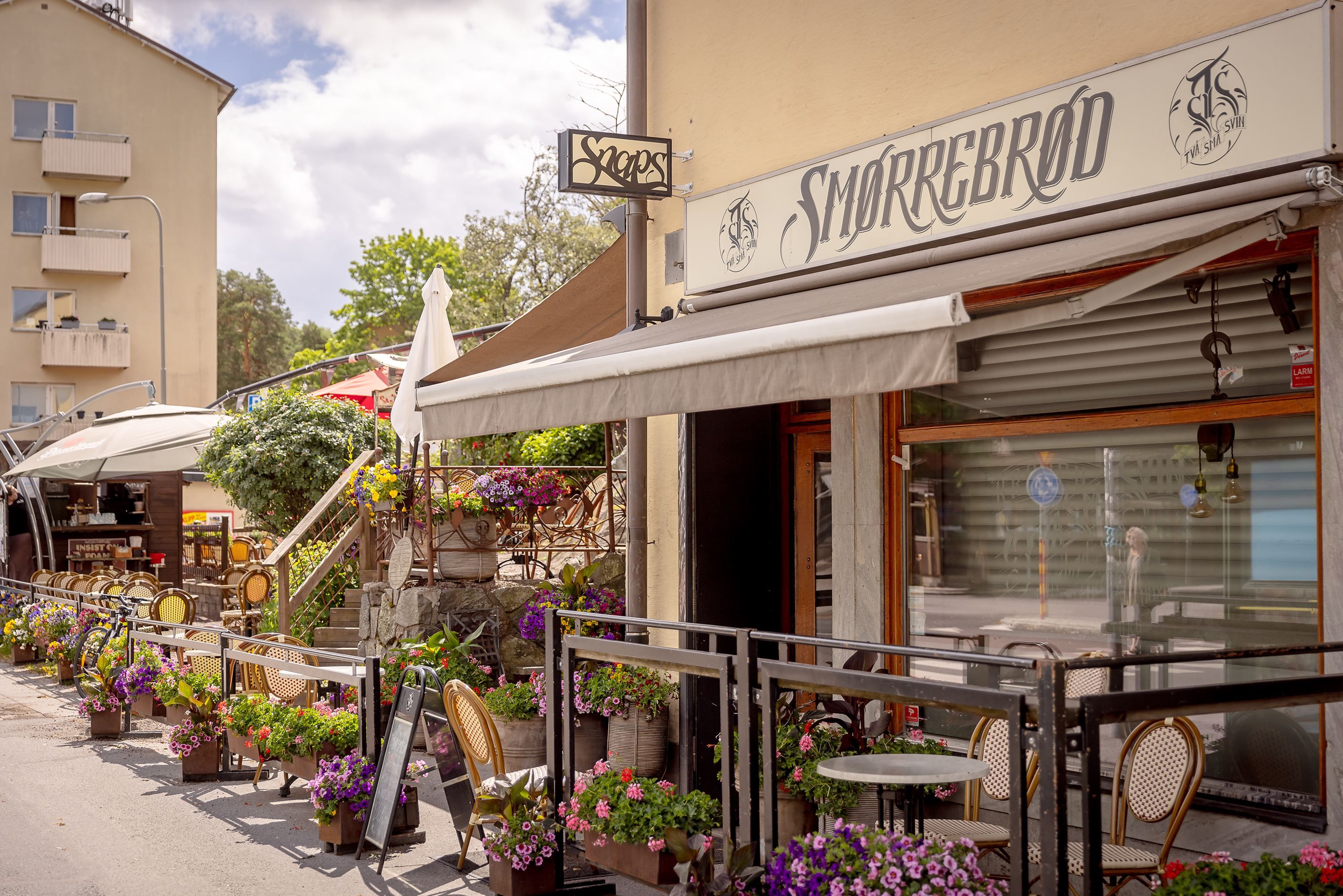 Populära Två små svin