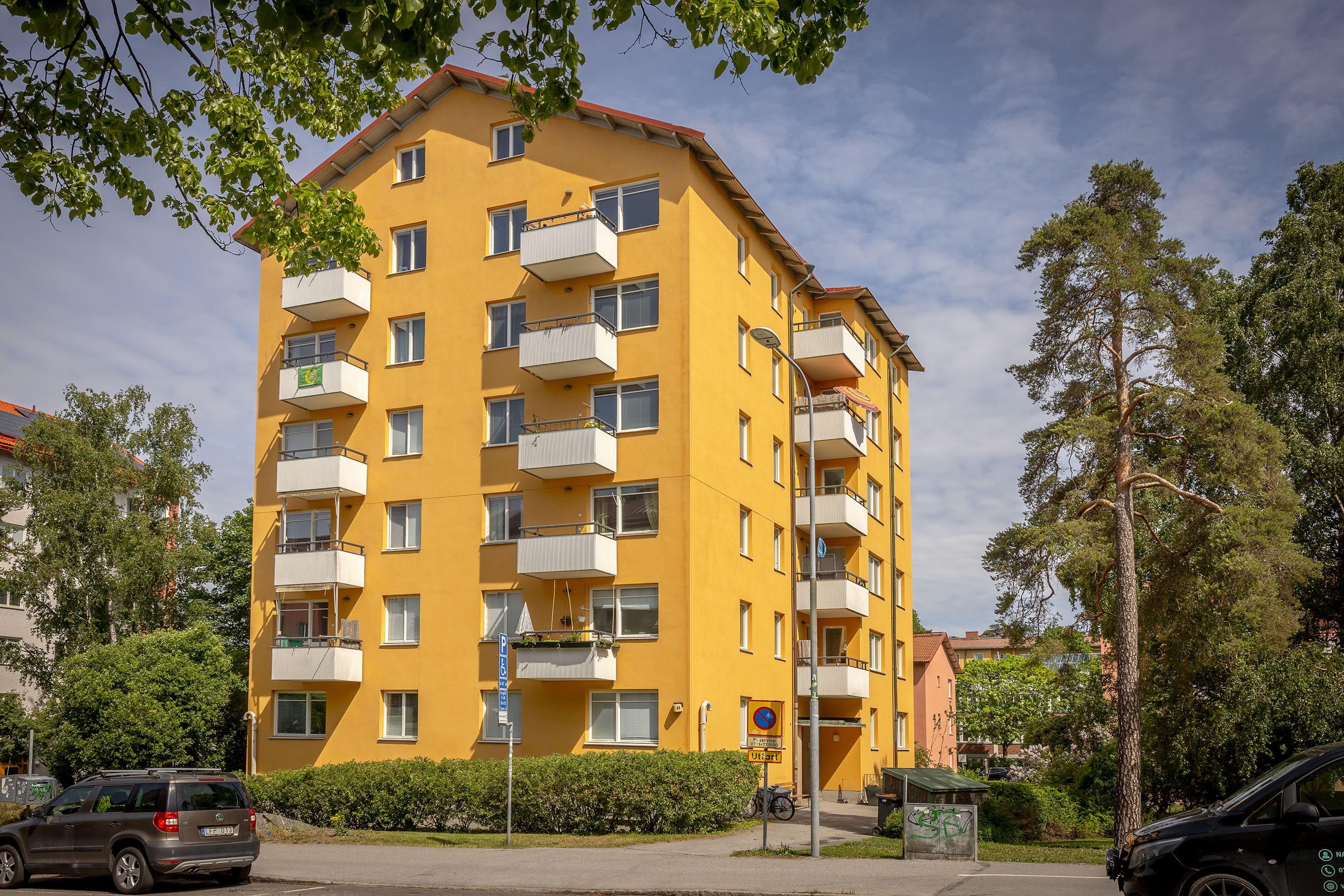 Exteriör