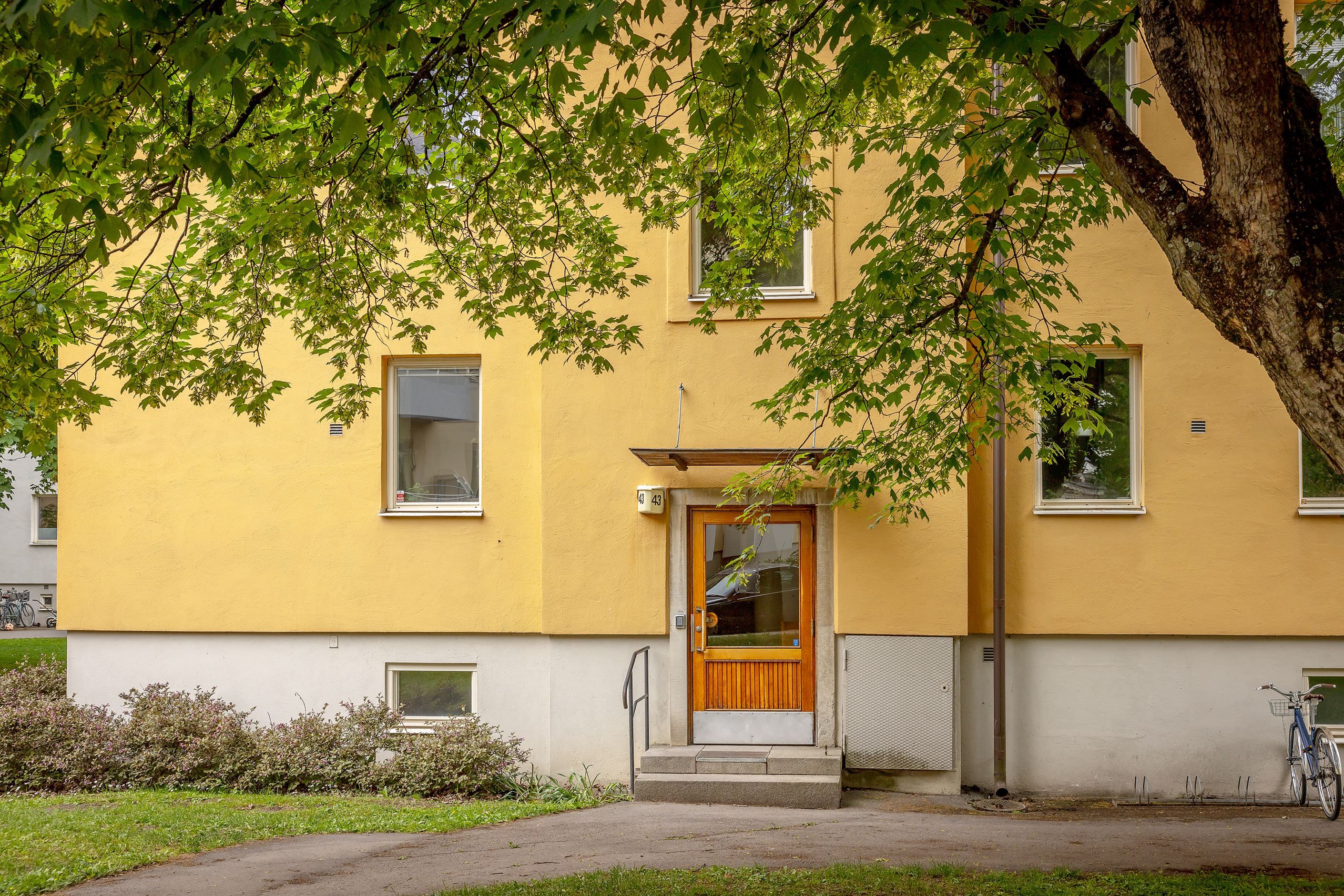 Exteriör