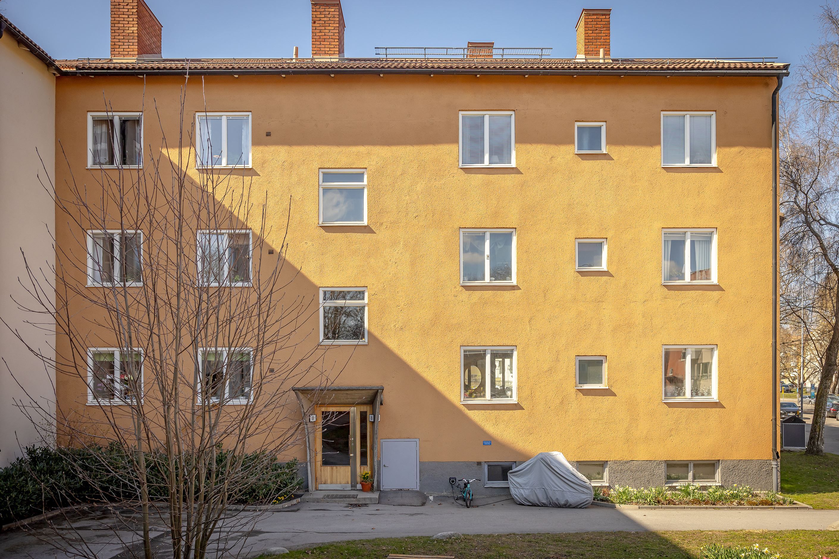 Exteriör