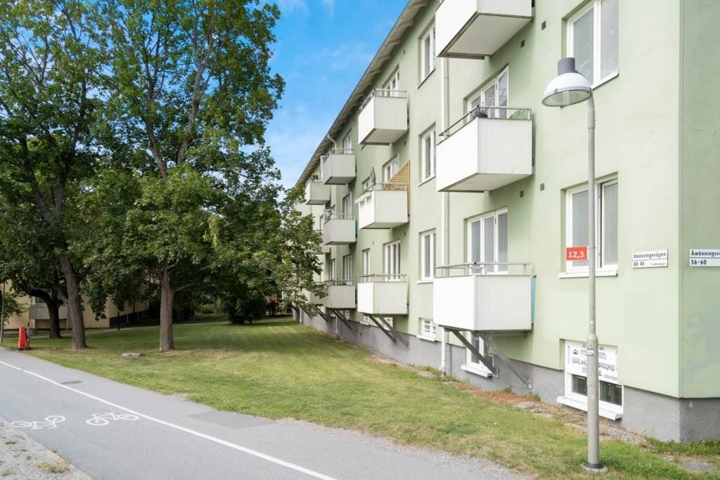 Föreningens hus