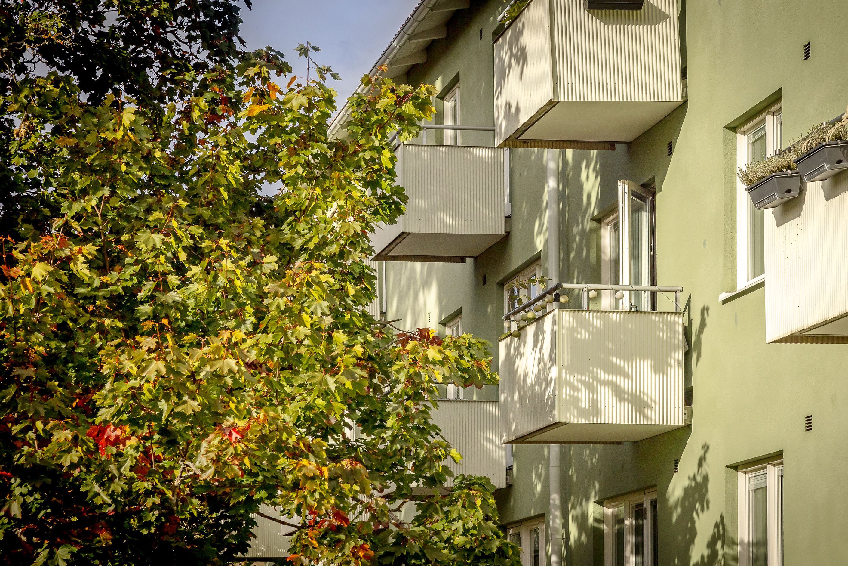 Föreningens hus
