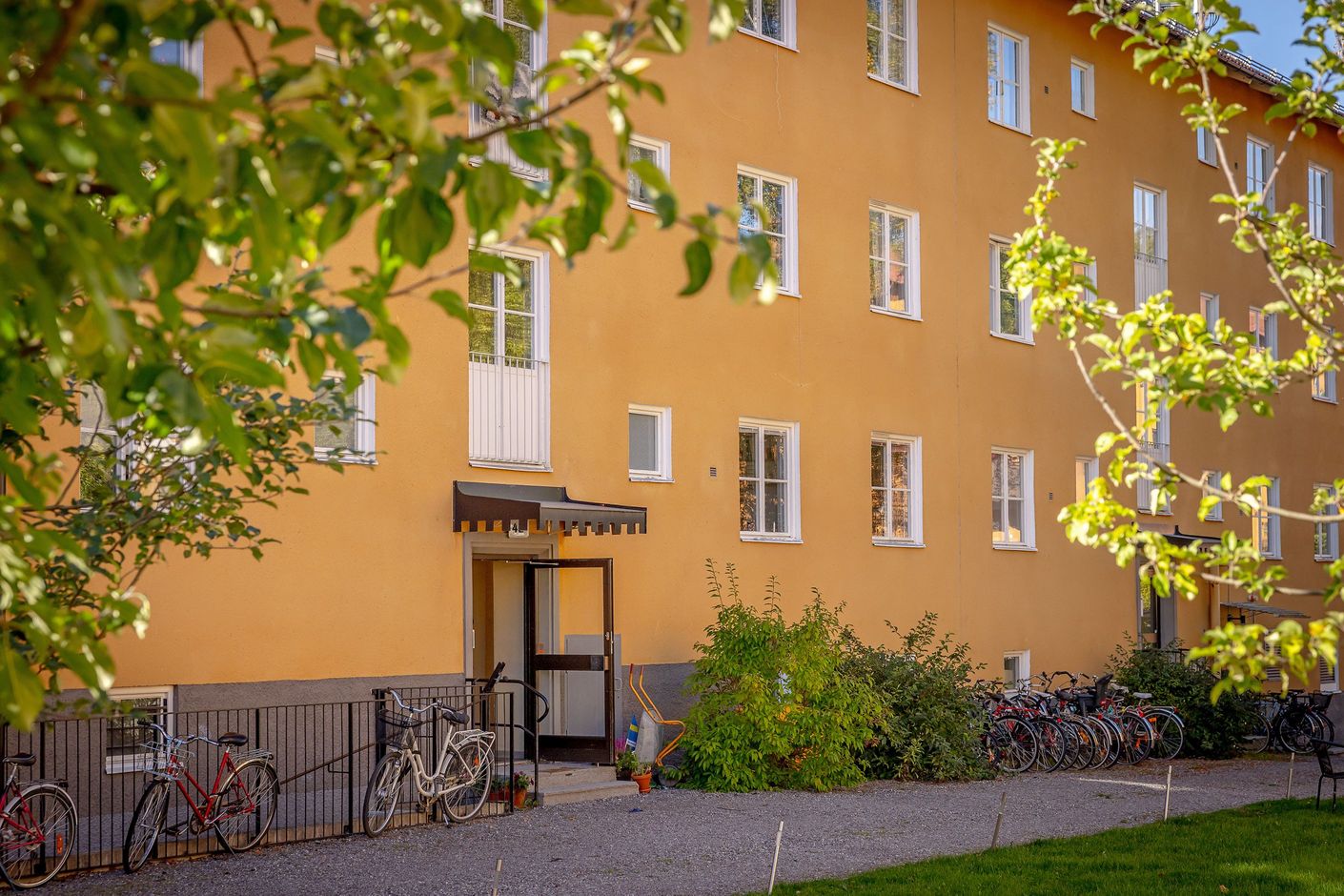 Exteriör