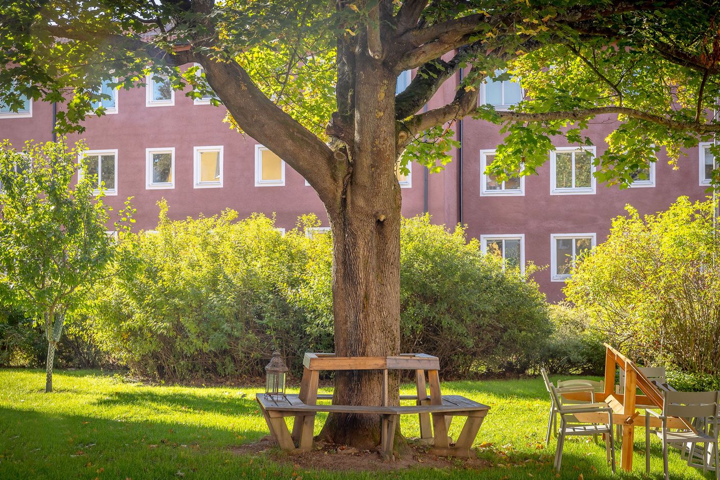 Exteriör