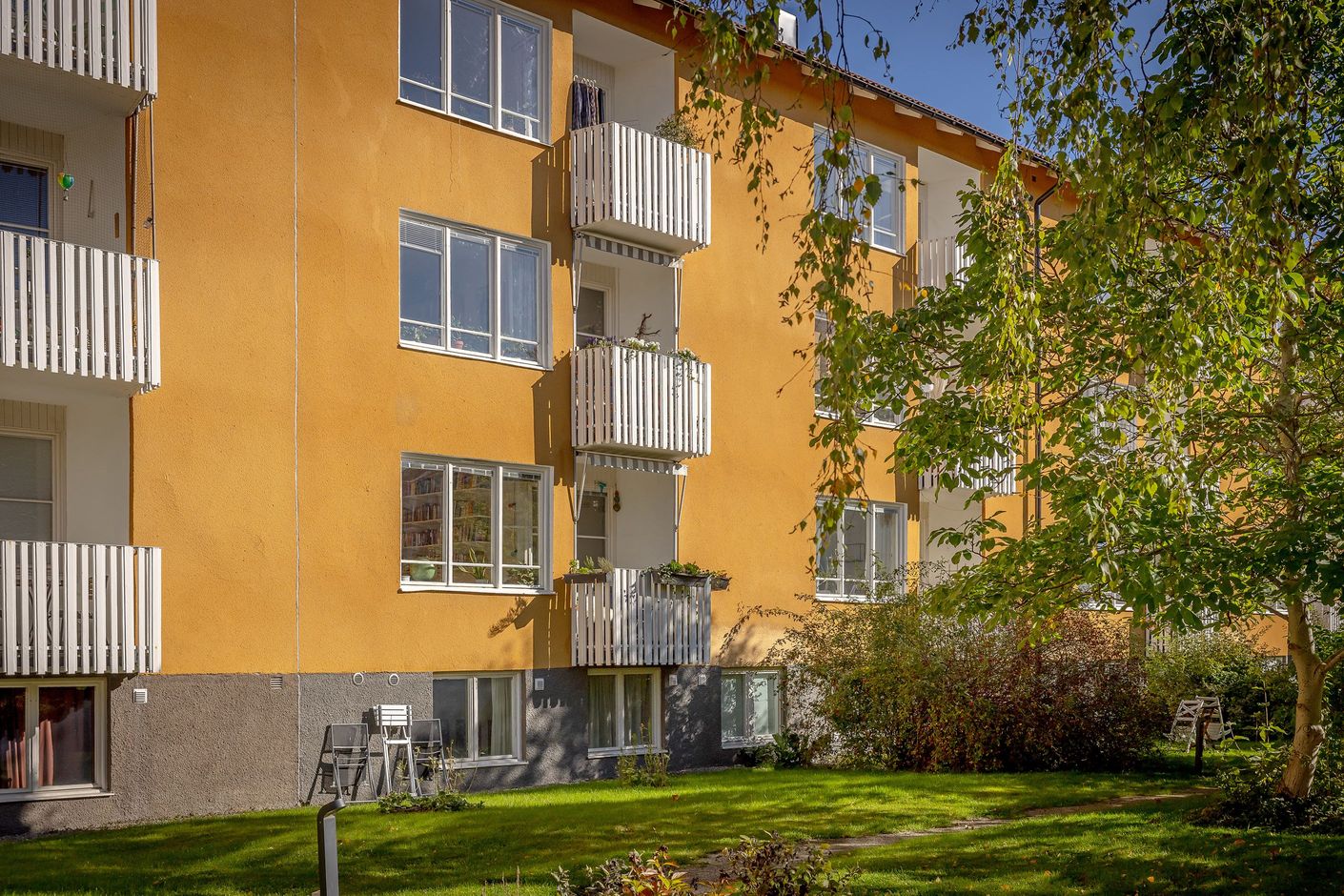 Exteriör