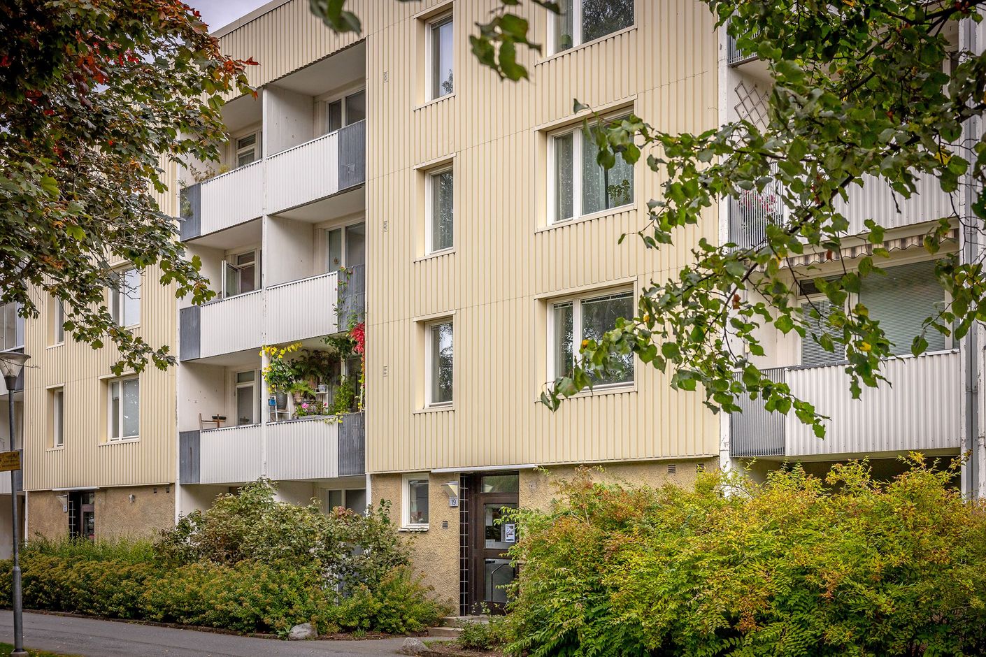Exteriör