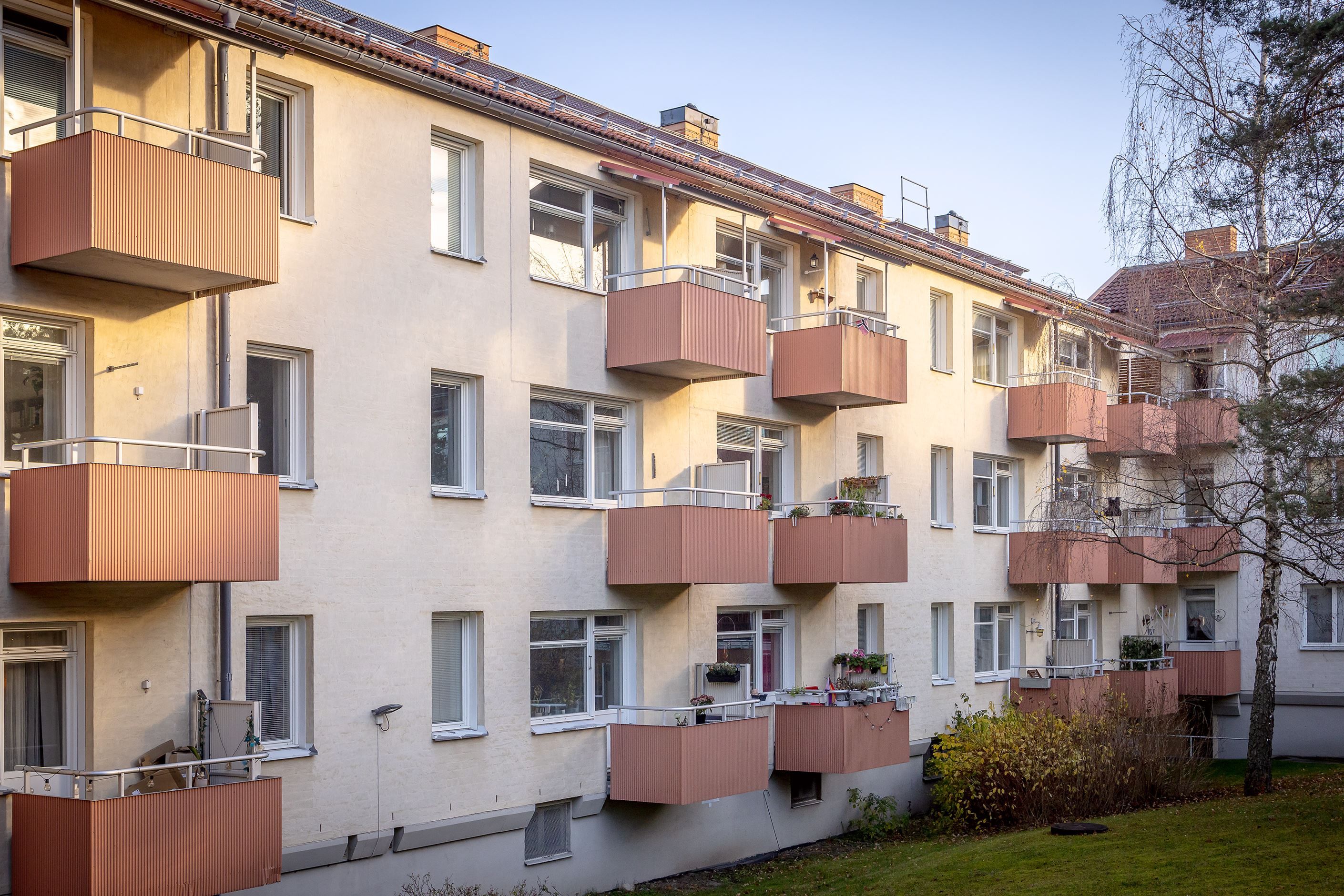 Exteriör