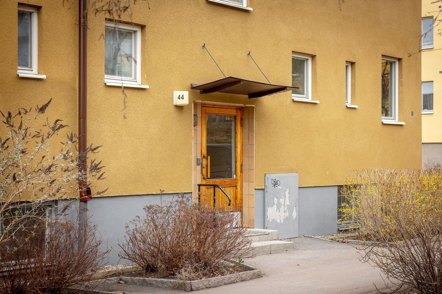 Exteriör