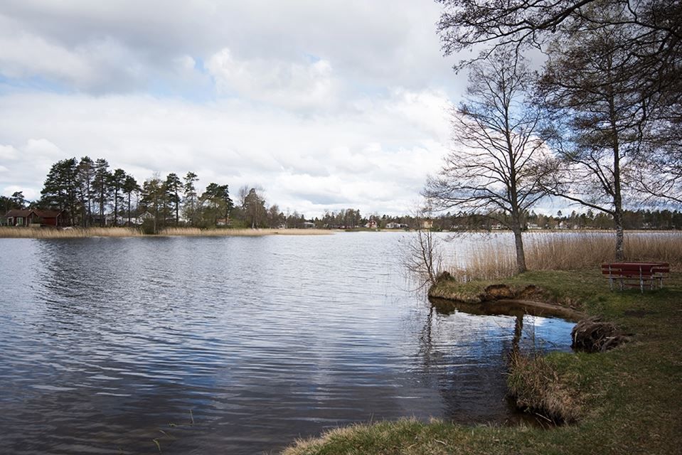 Områdesbild från "parkudden"