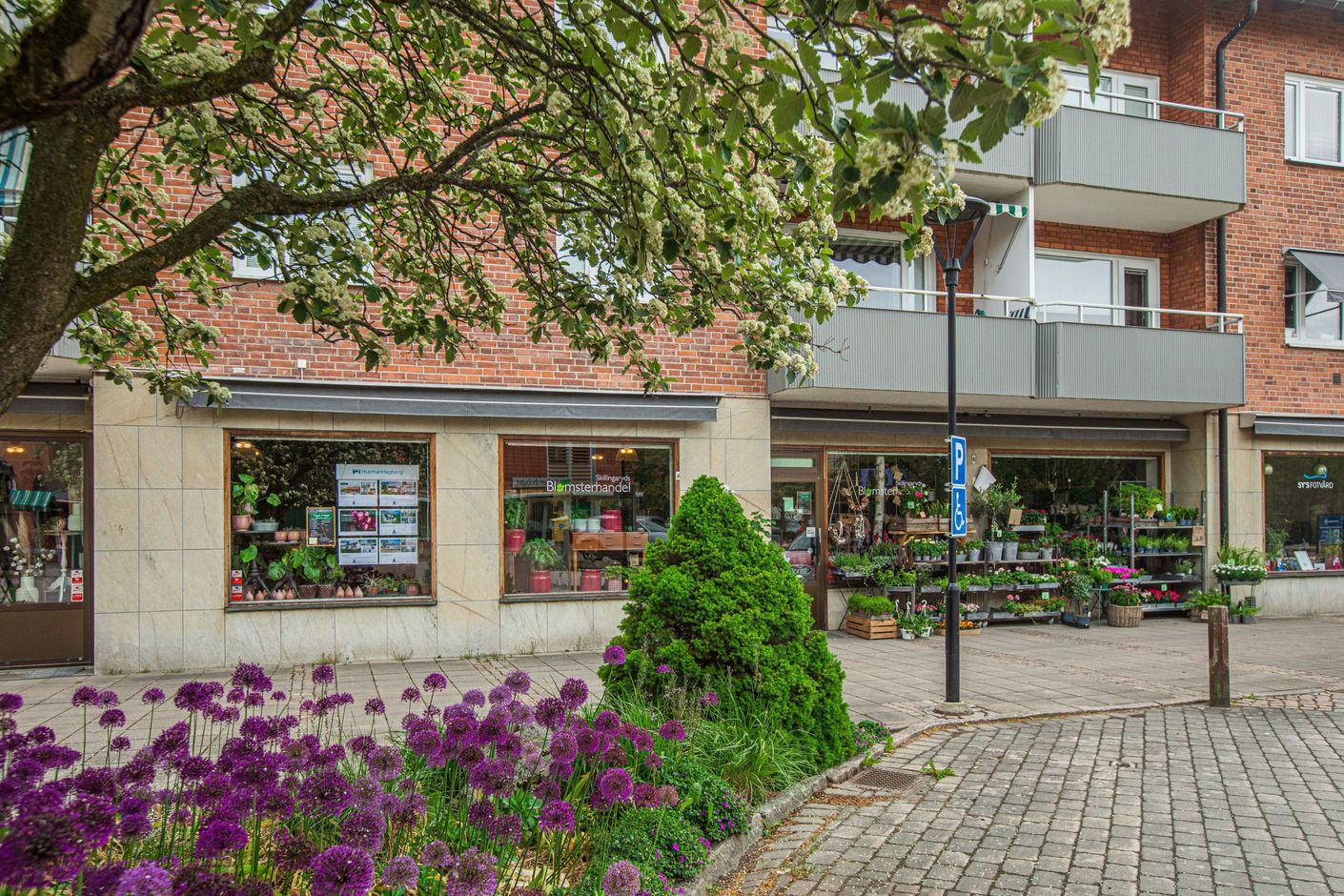 Med centrumutbudet runt hörnet
