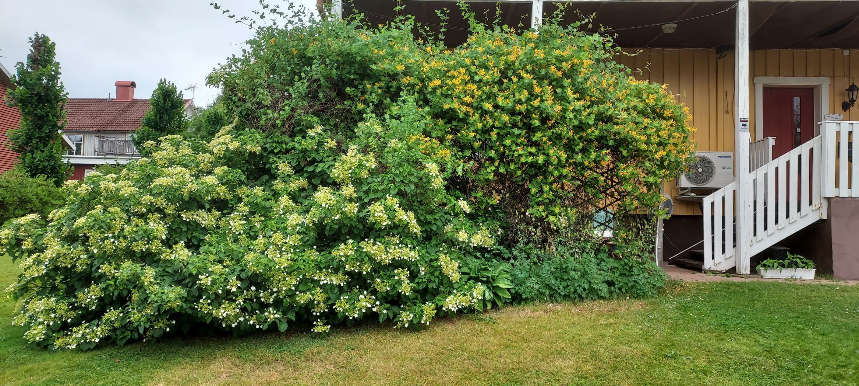 Säljarens privata bilder