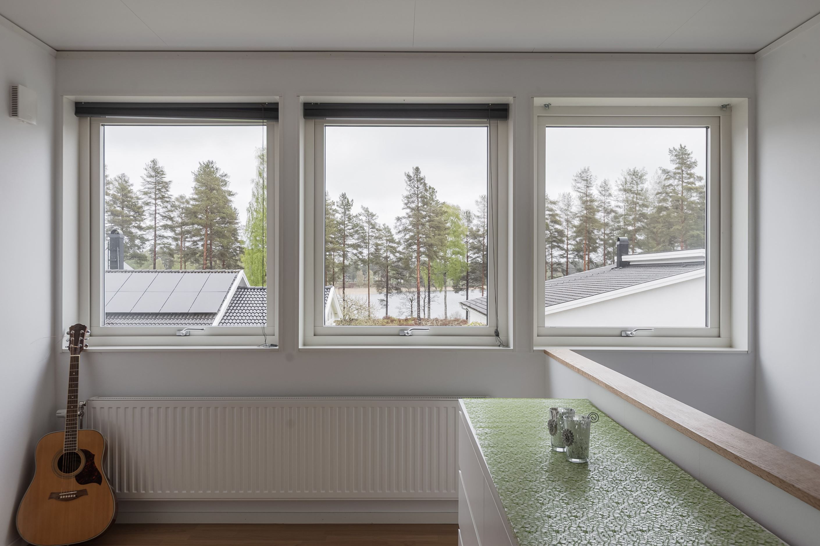 Utsikt över sjön