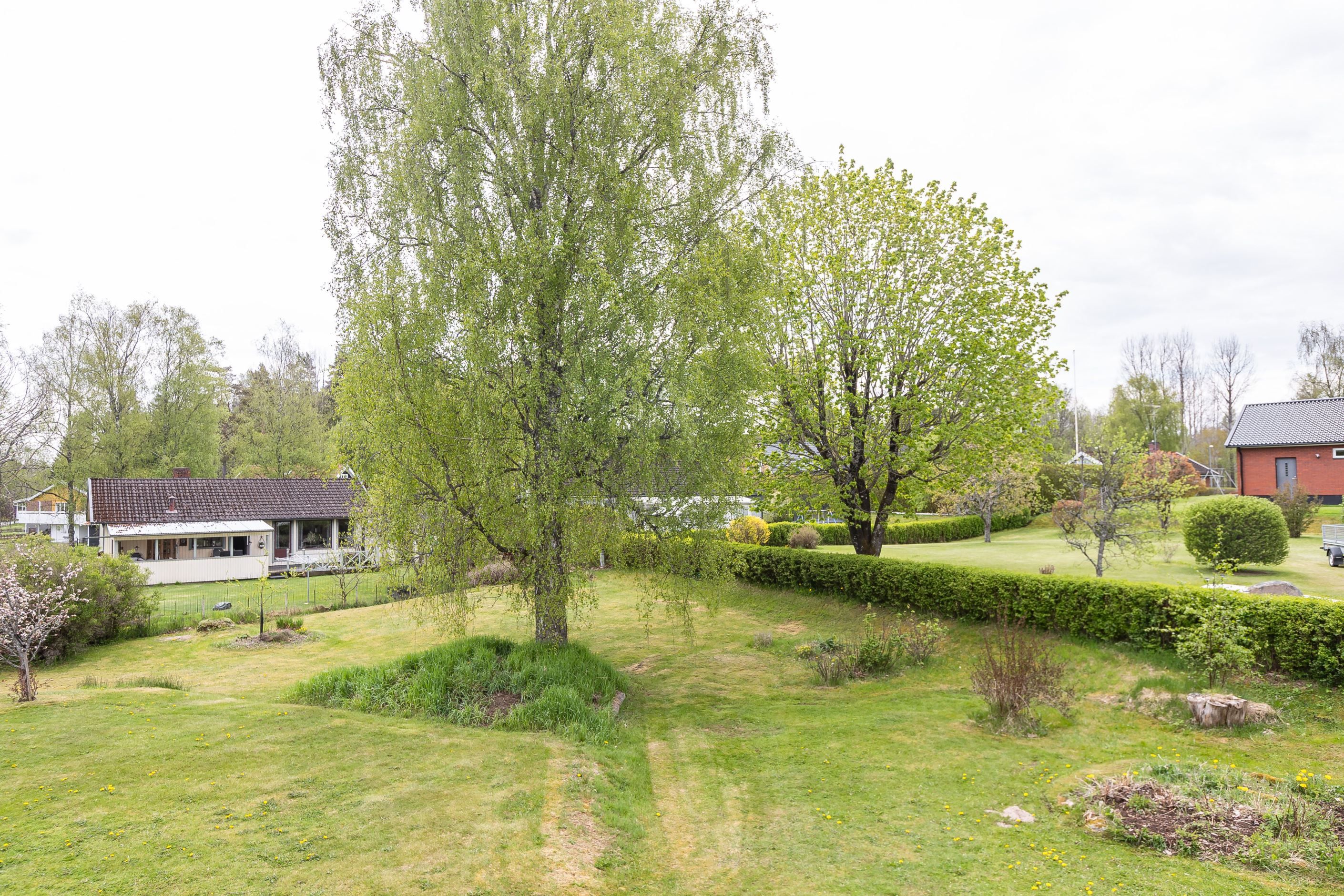 Bildkategori