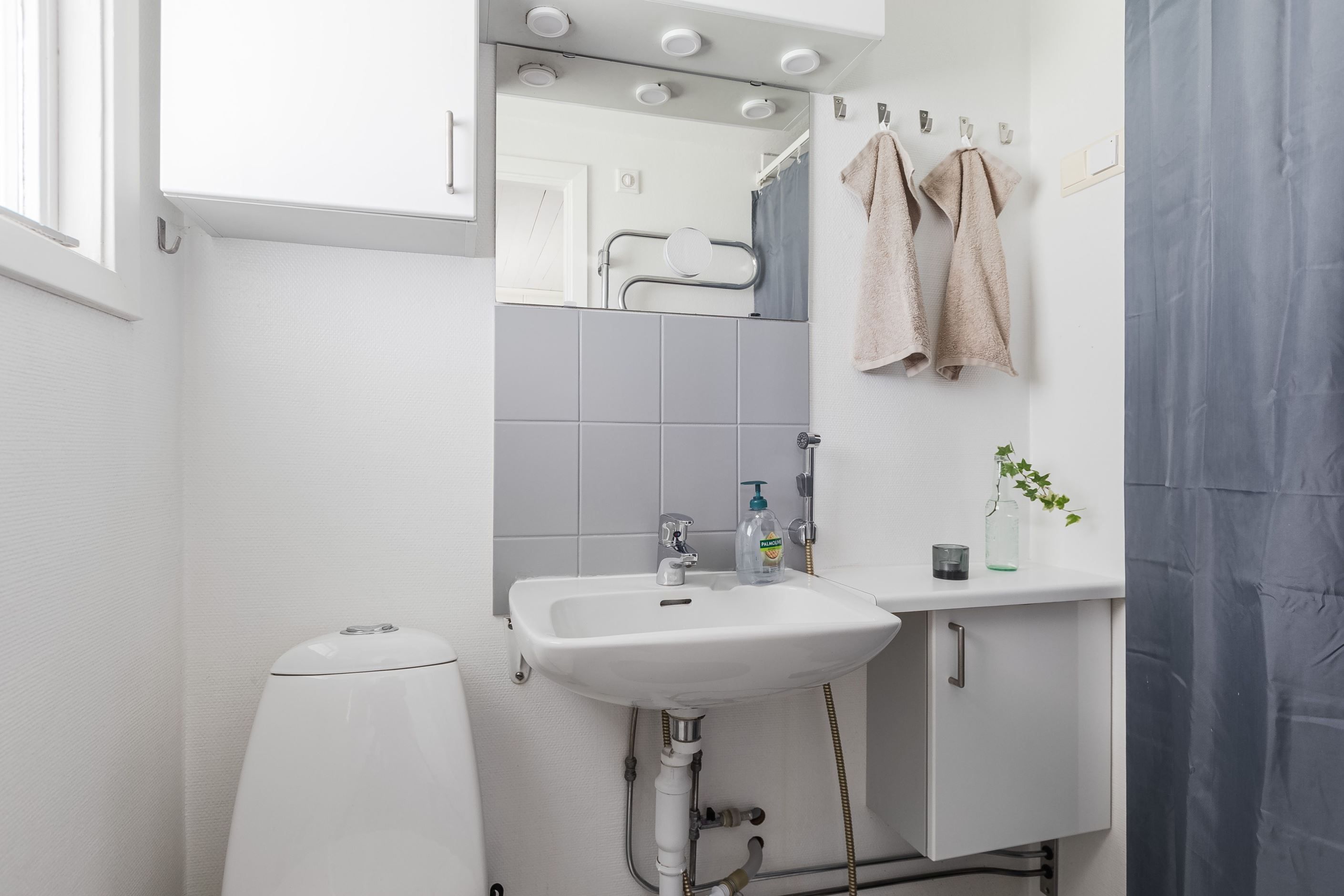 Toalett med dusch i anslutning till entrén