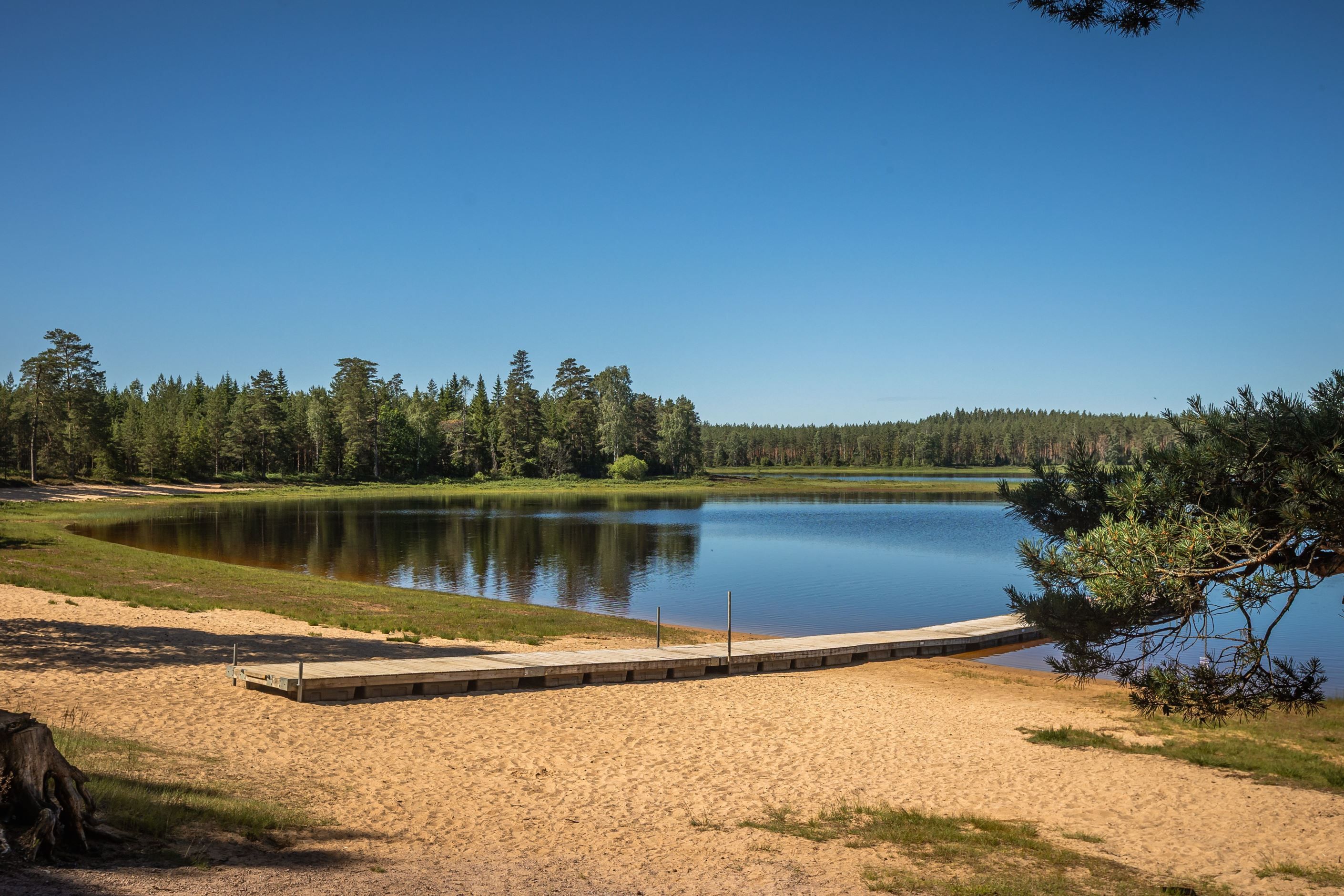 Långasjöbadet nära bostaden är en naturskön badplats med en fin sandstrand