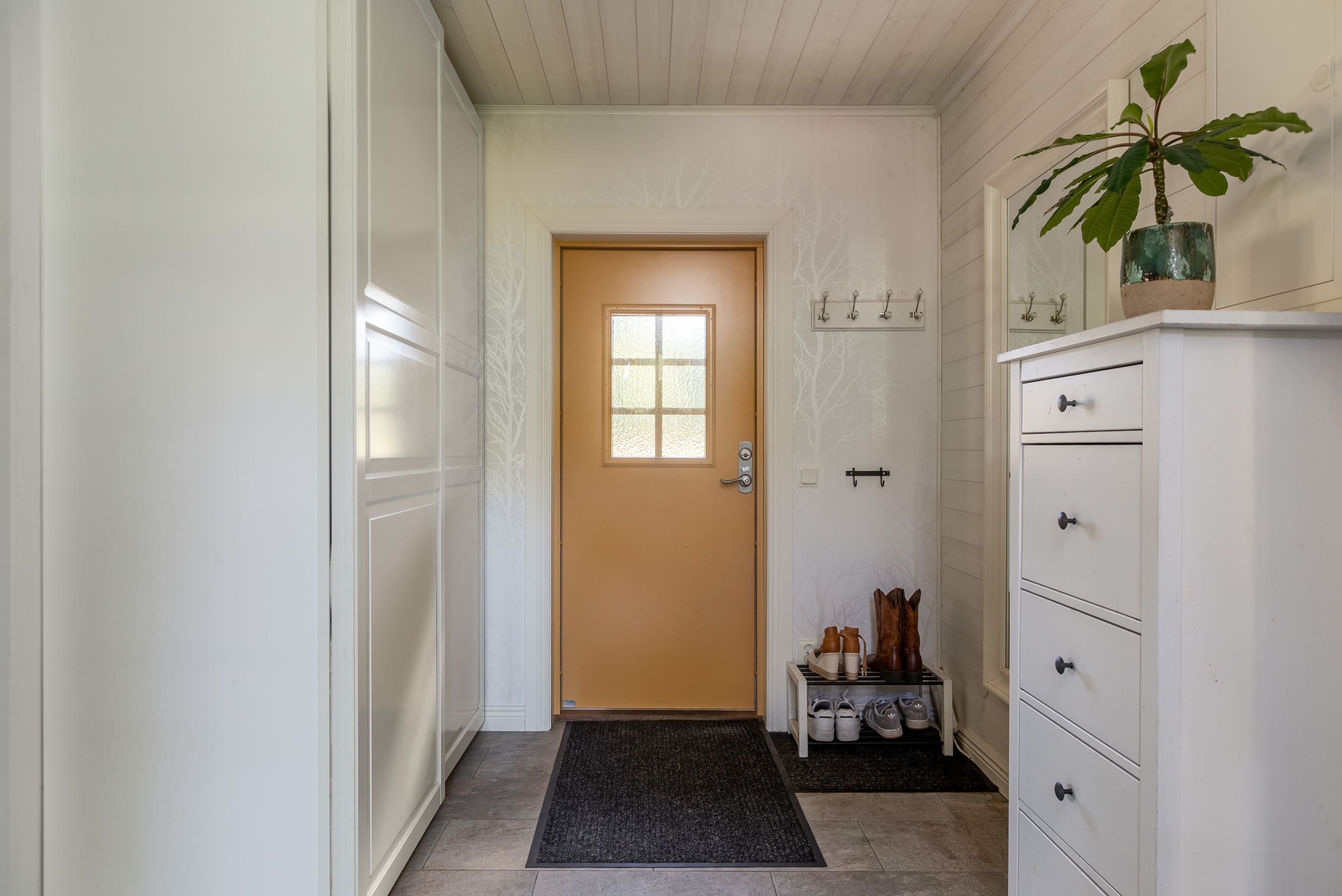 Groventré i tillbyggnaden