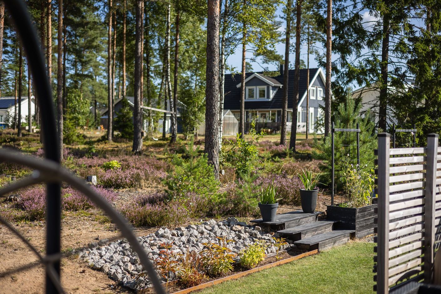 Härlig baksida som vetter mot skogen