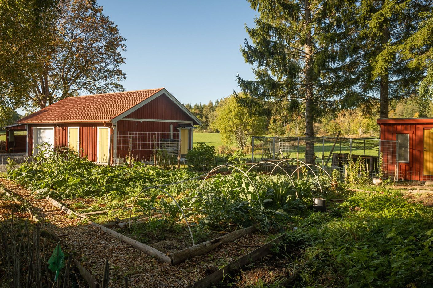 Här finns plats för odling stort som smått