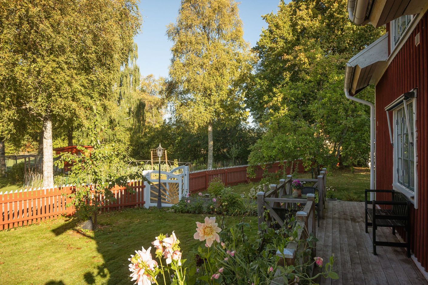 Härligt lummig trädgård!