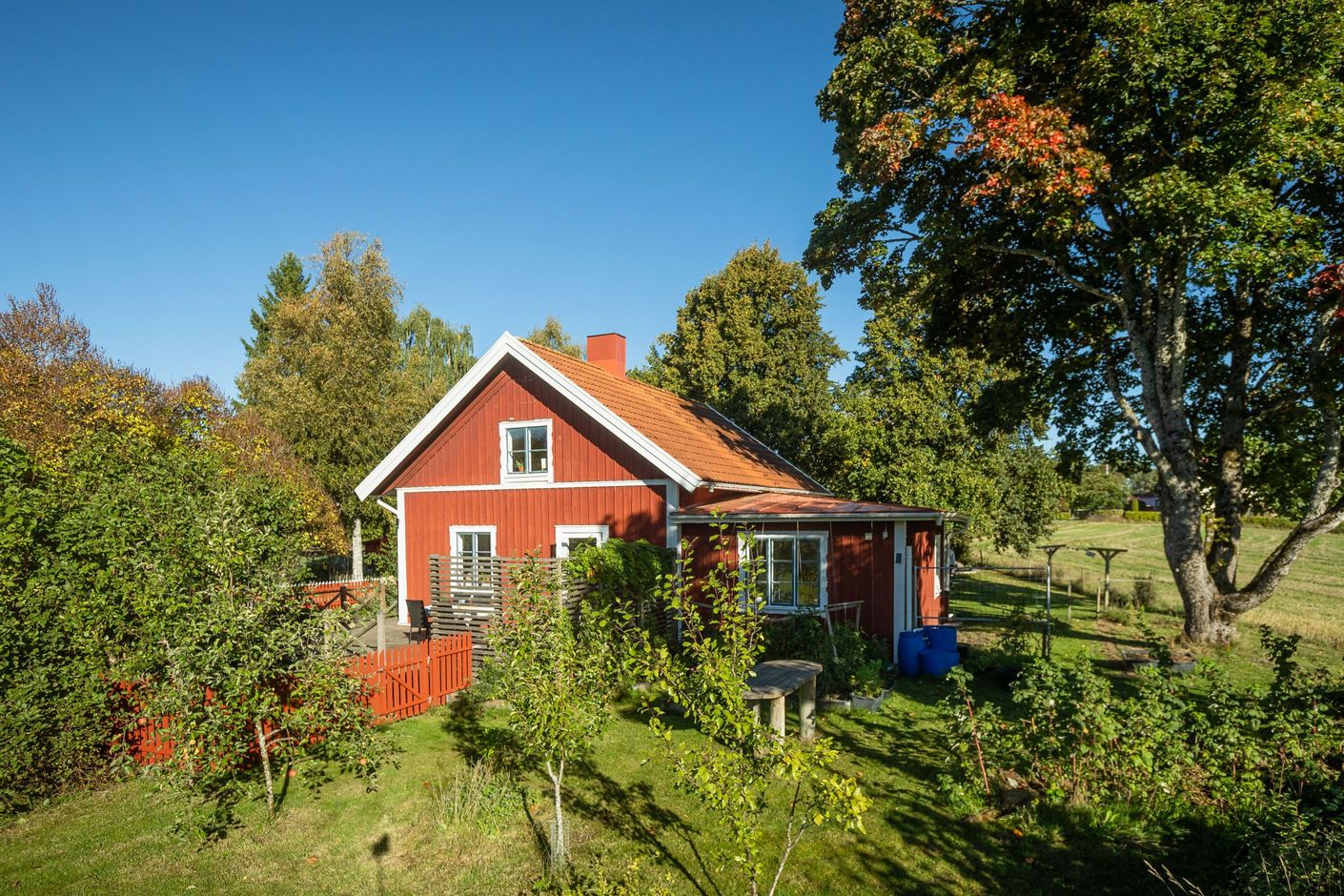 Bildkategori