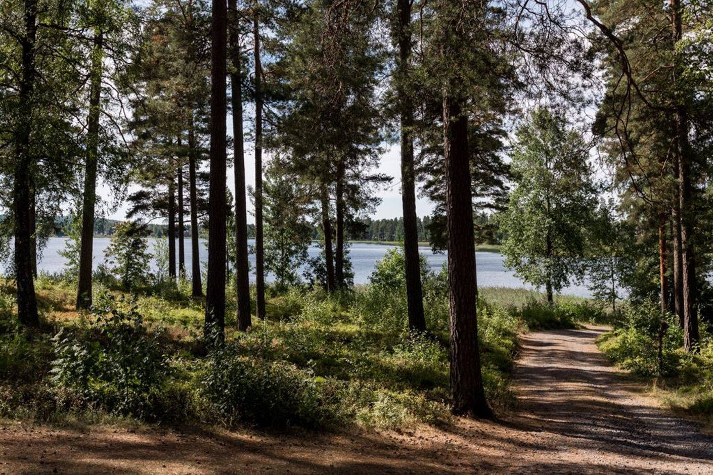 Kort promenad till skog och sjö