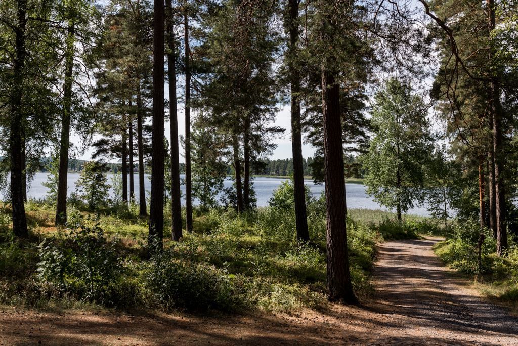 Kort promenad till skog och sjö