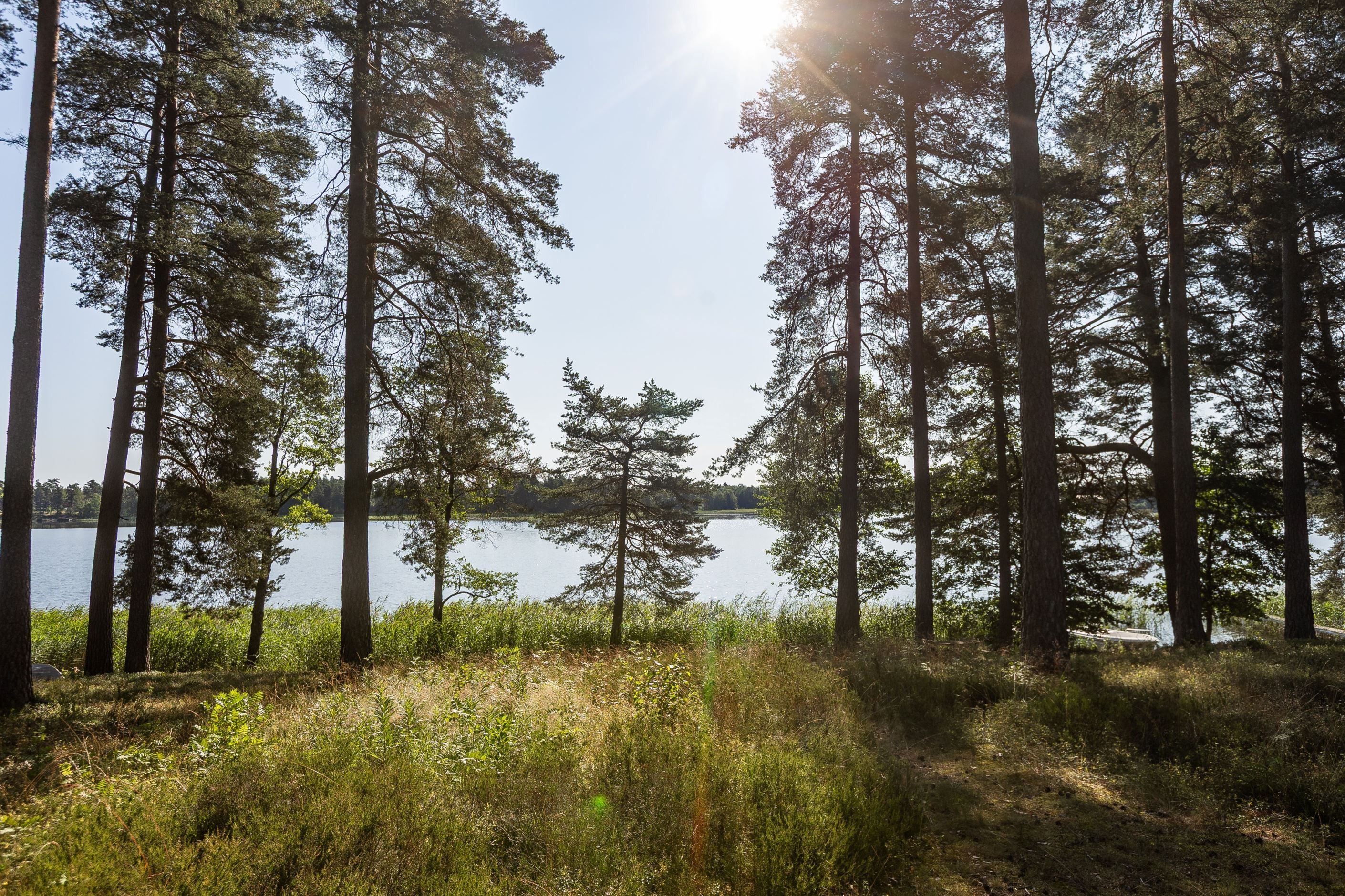 Områdesbild