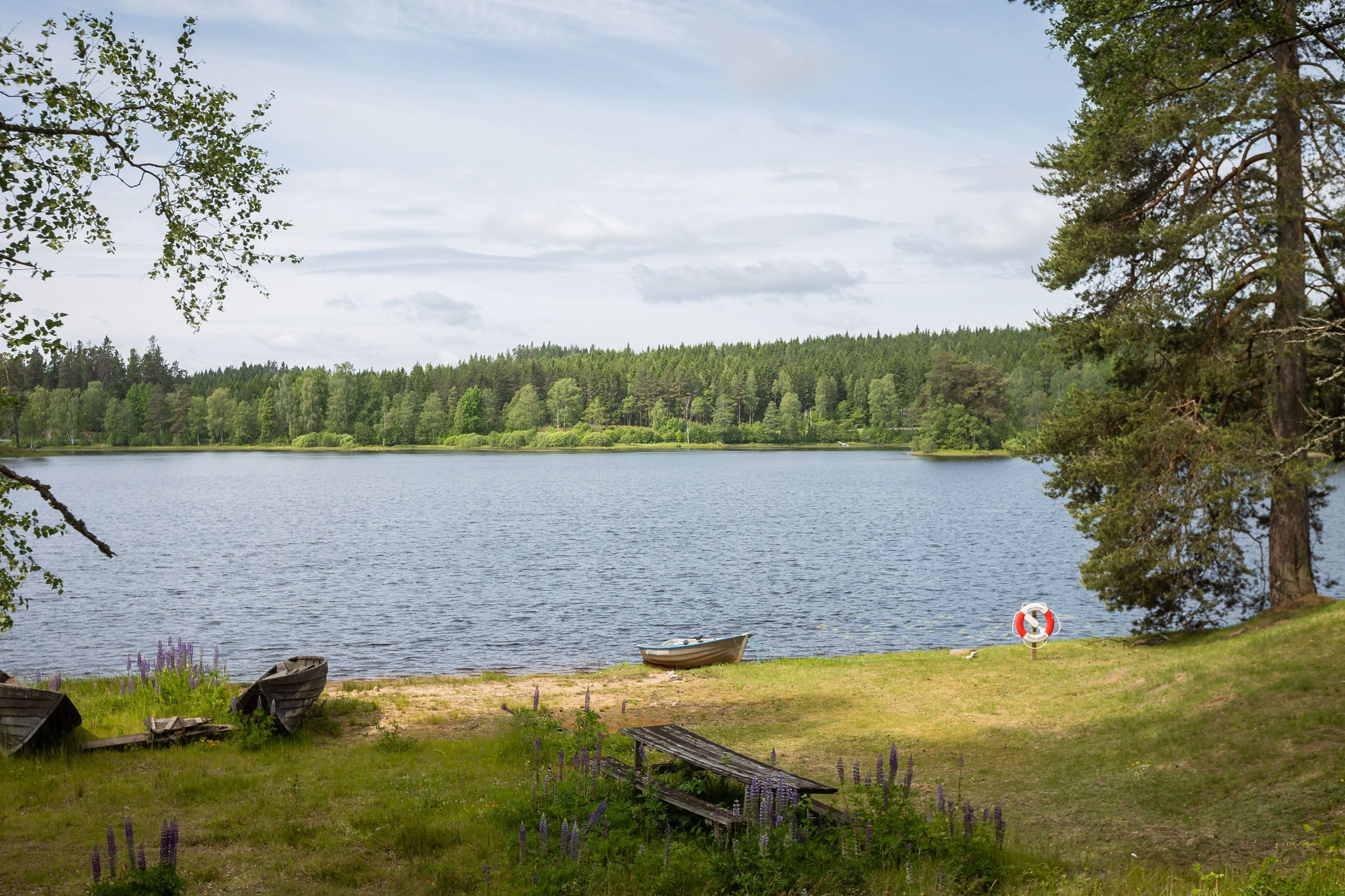 Områdesbild