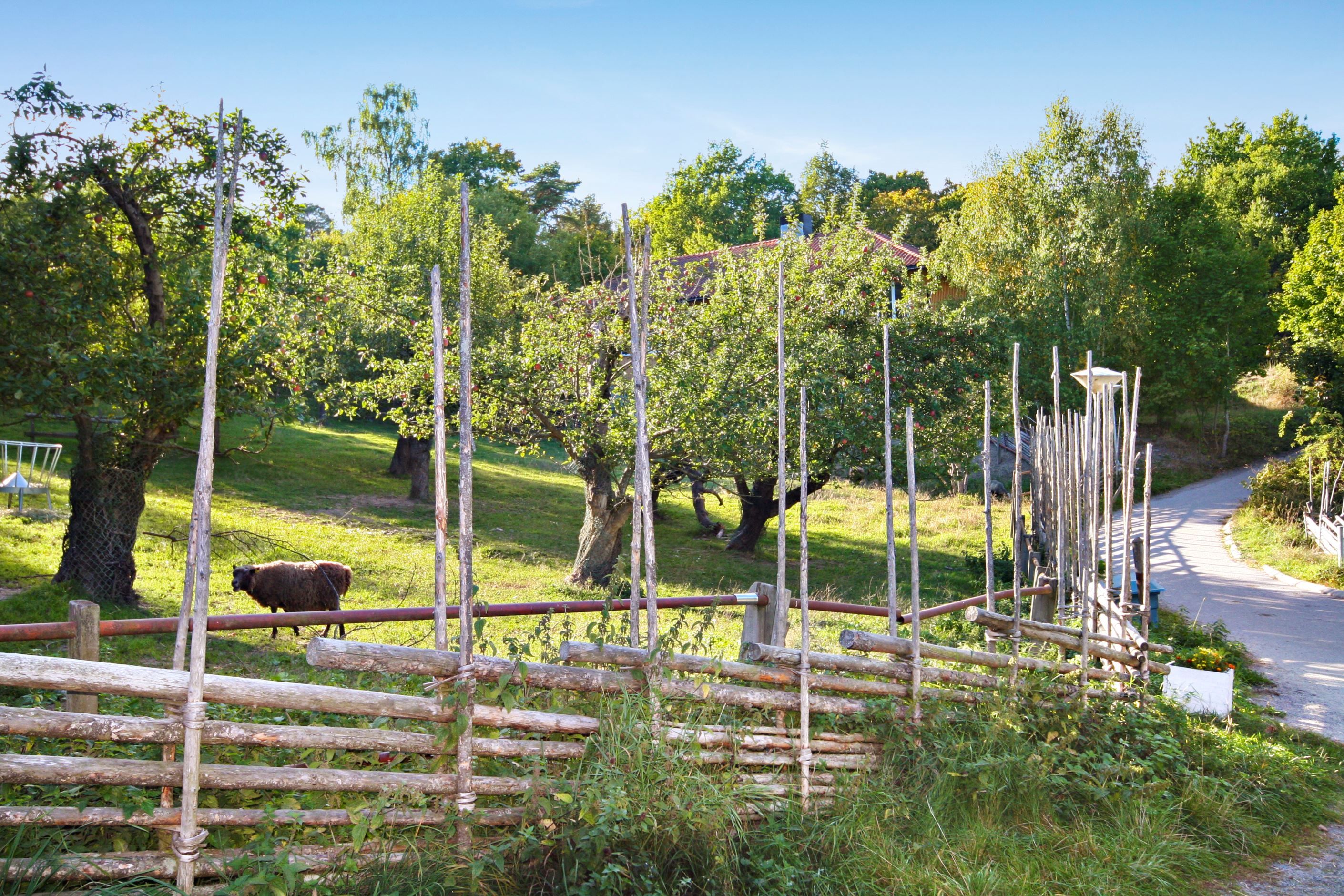 På kort gångavstånd ligger Eloshälls 4-H gård i Axelsberg Mälarhöjden