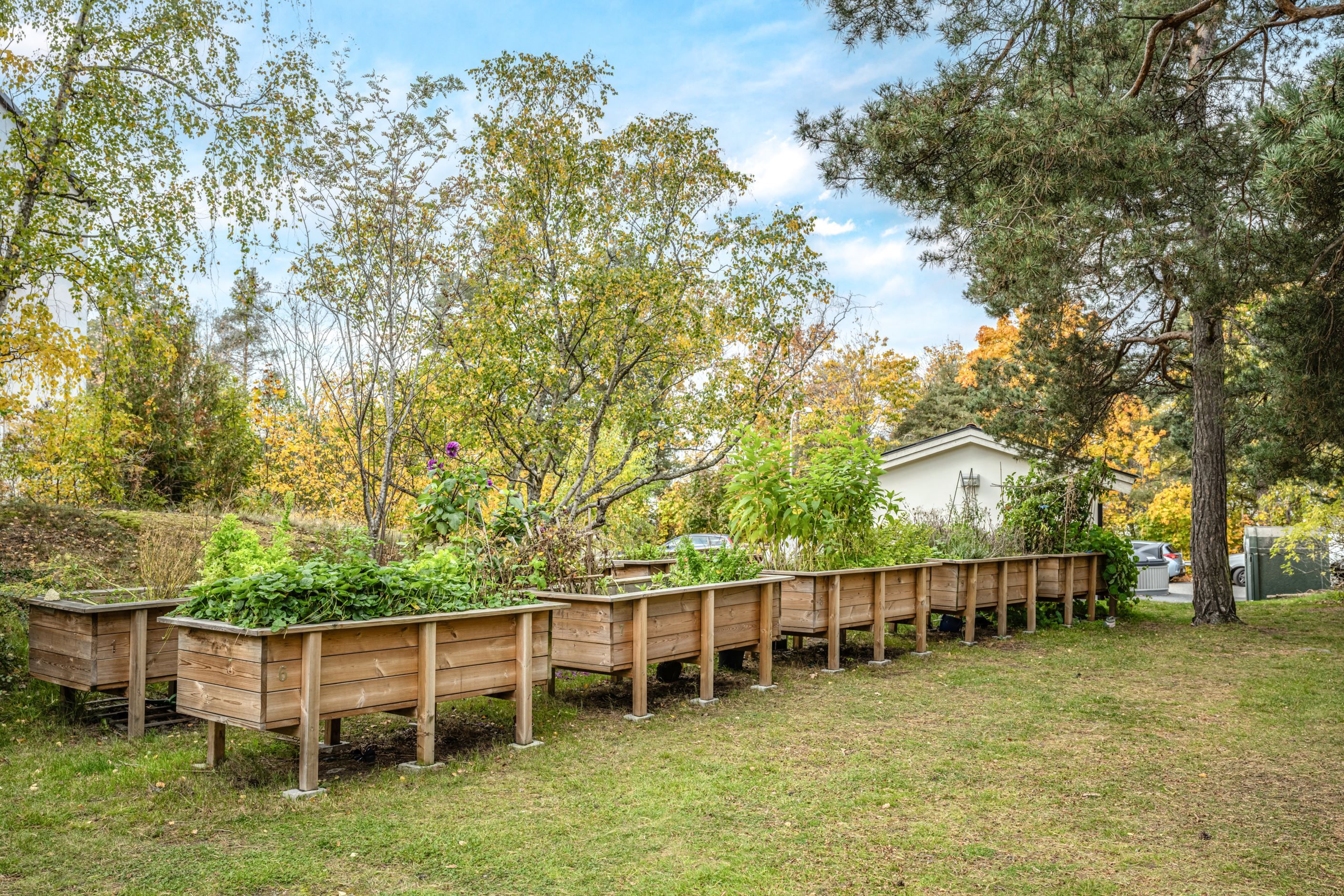 Odlingslådor i föreningen